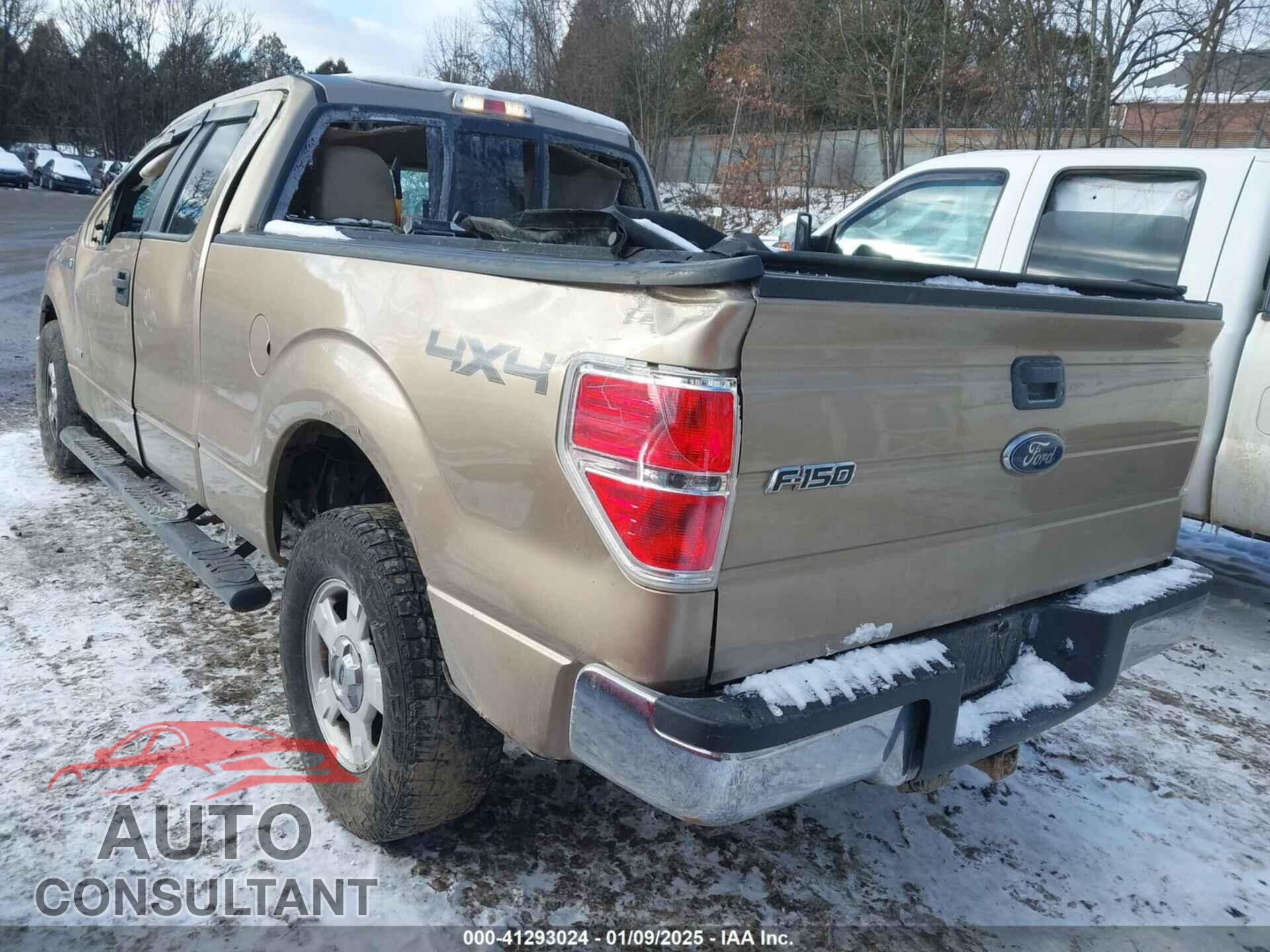 FORD F-150 2013 - 1FTFX1ET1DFD65904