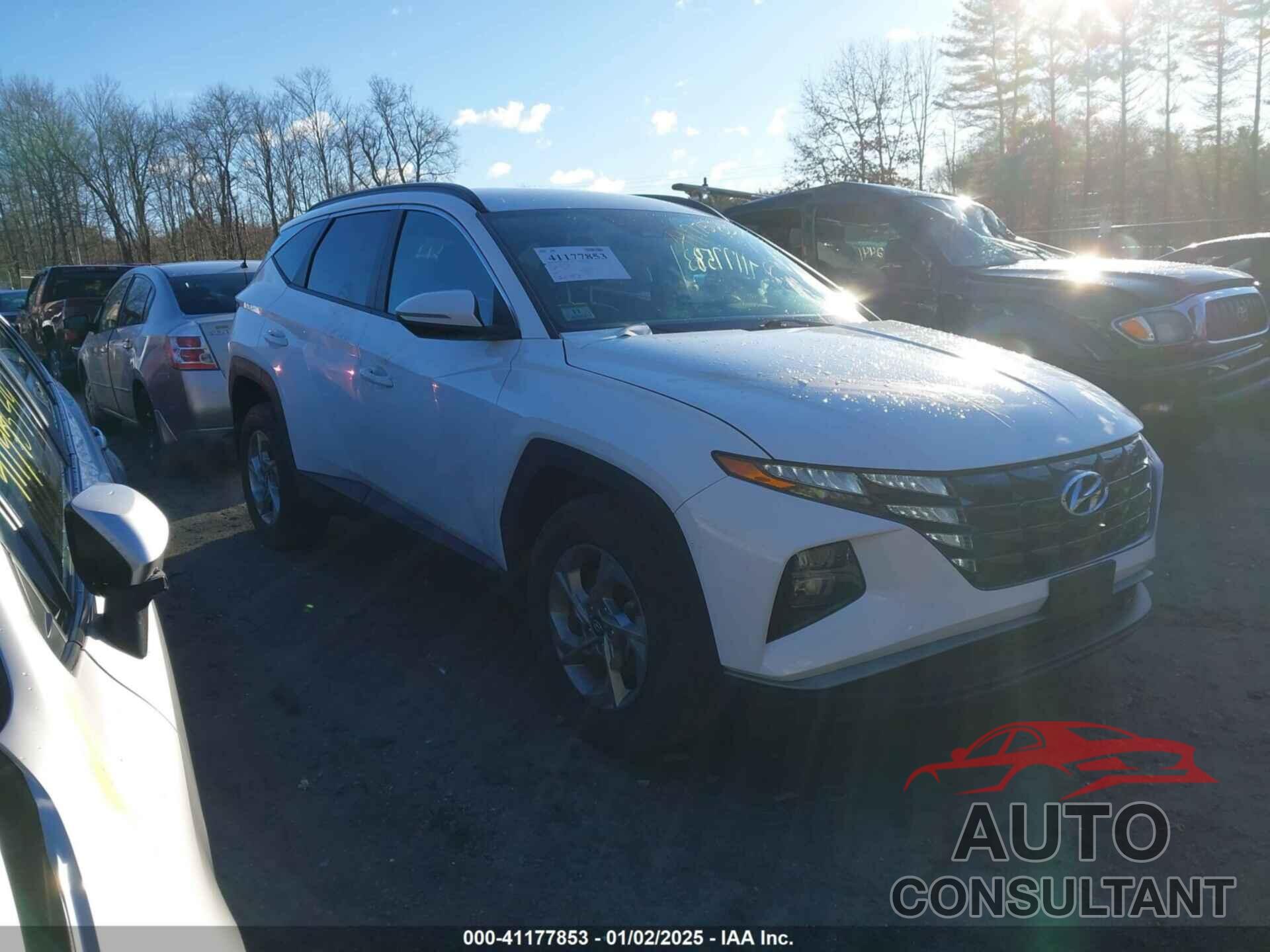 HYUNDAI TUCSON 2023 - 5NMJBCAEXPH186568