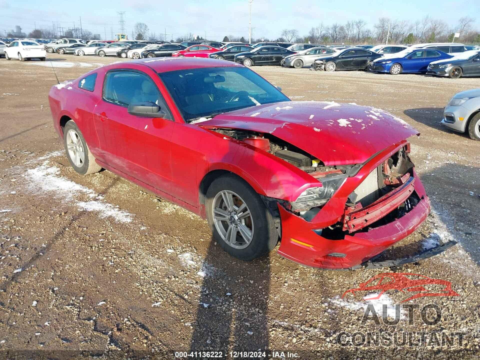 FORD MUSTANG 2013 - 1ZVBP8AM0D5262739