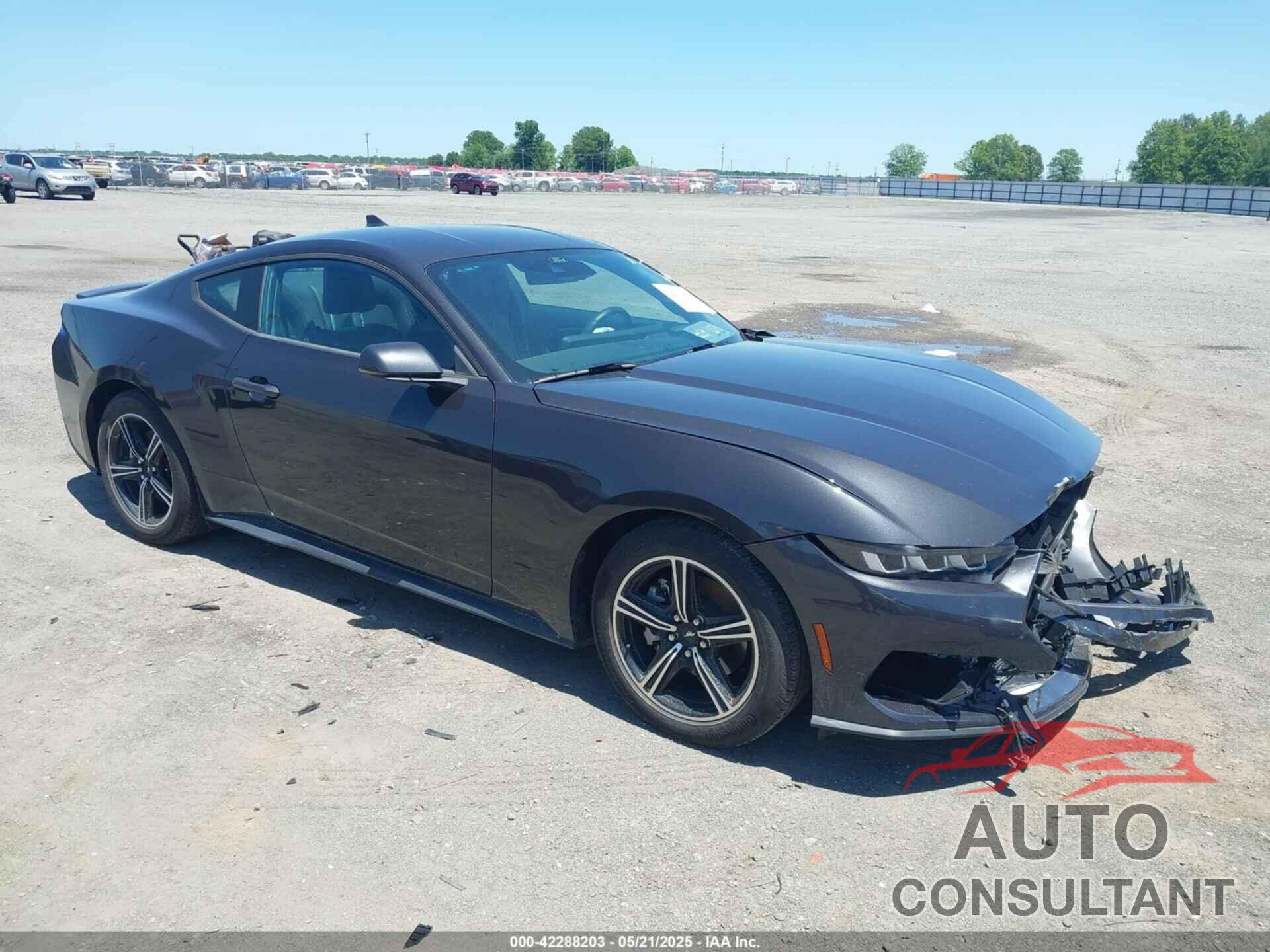 FORD MUSTANG 2024 - 1FA6P8TH3R5114246