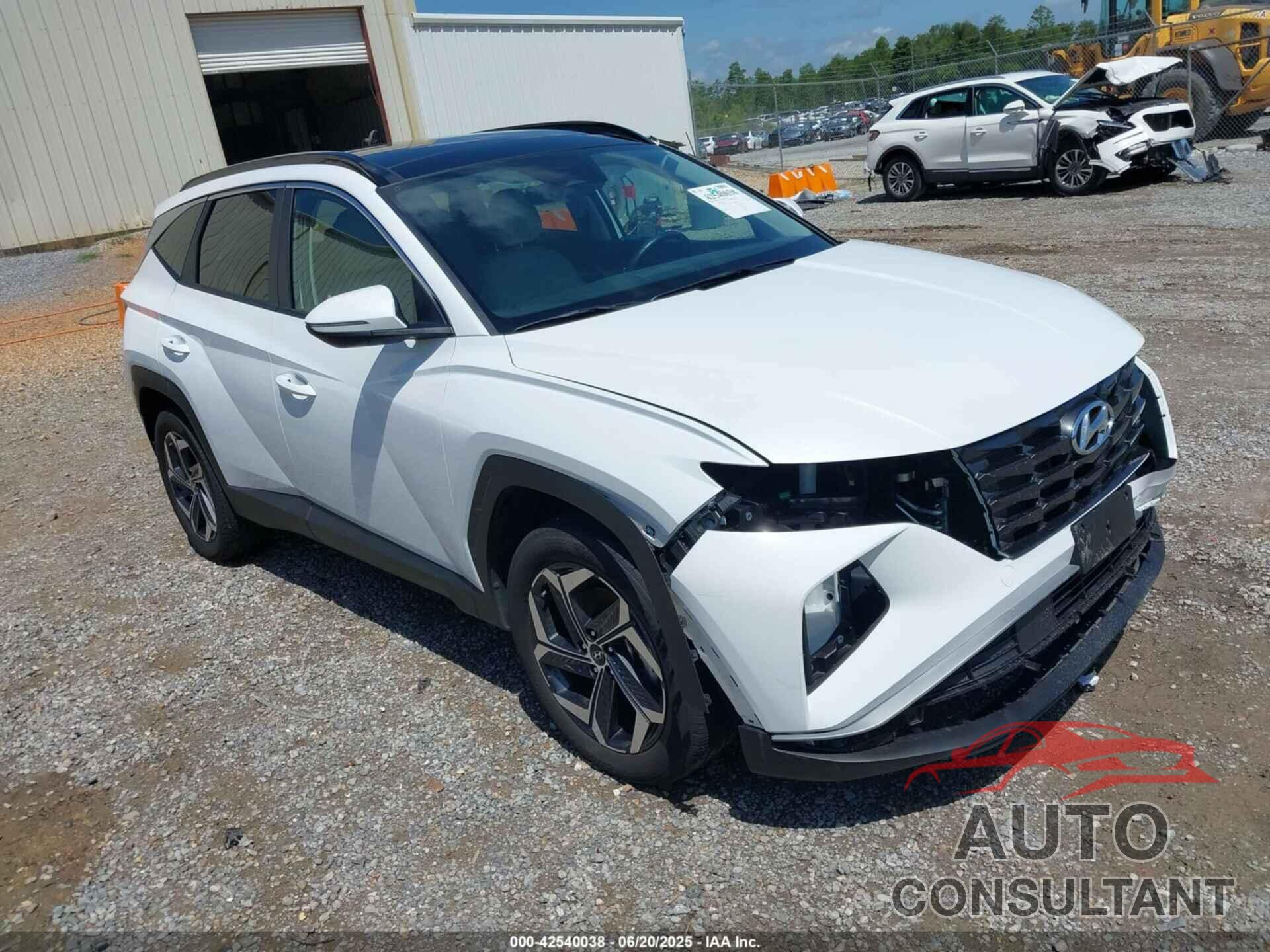 HYUNDAI TUCSON HYBRID 2024 - KM8JCCD1XRU152076