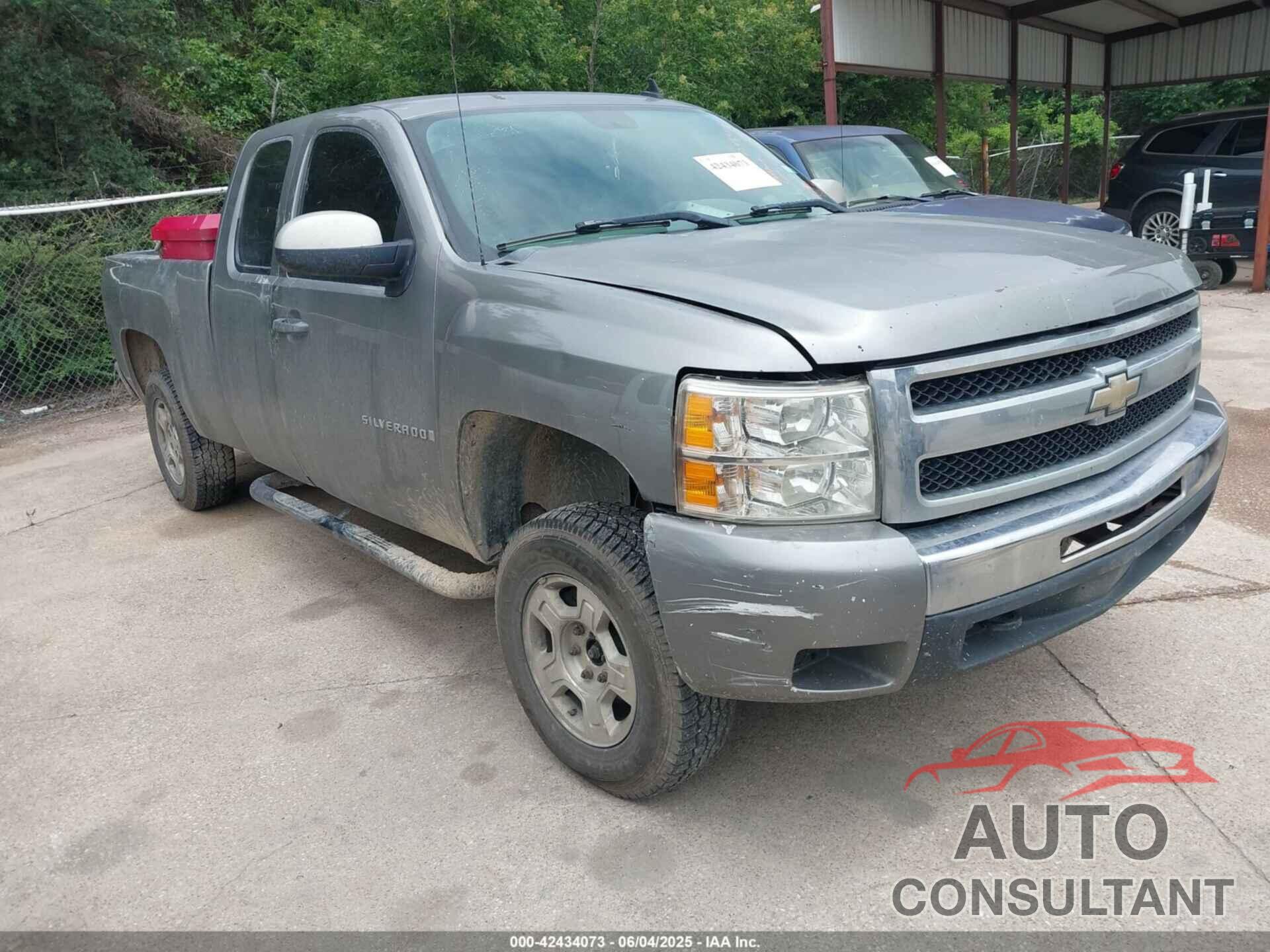 CHEVROLET SILVERADO 1500 2009 - 1GCEK19CX9Z220578