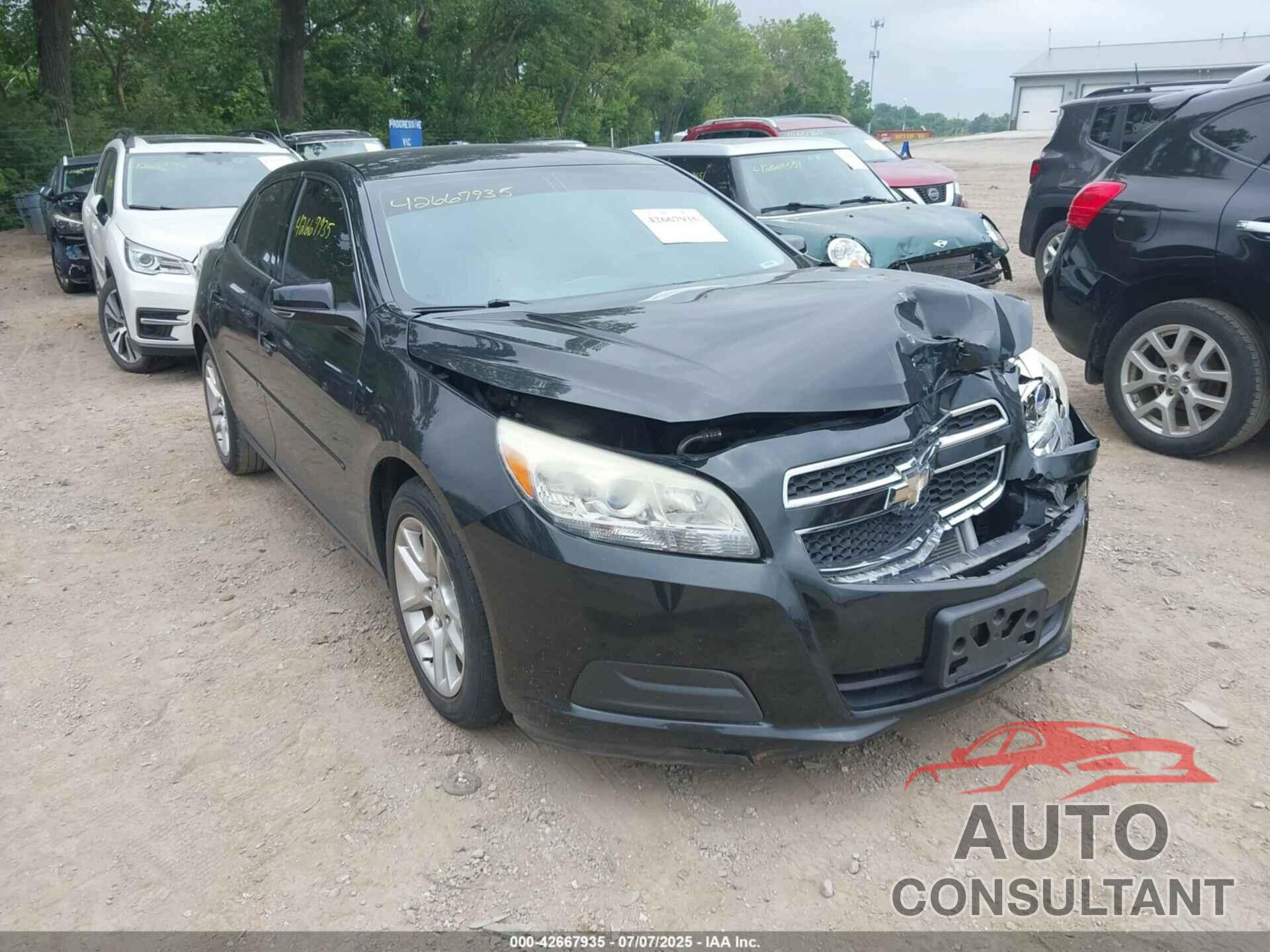 CHEVROLET MALIBU 2013 - 1G11C5SA3DF331956
