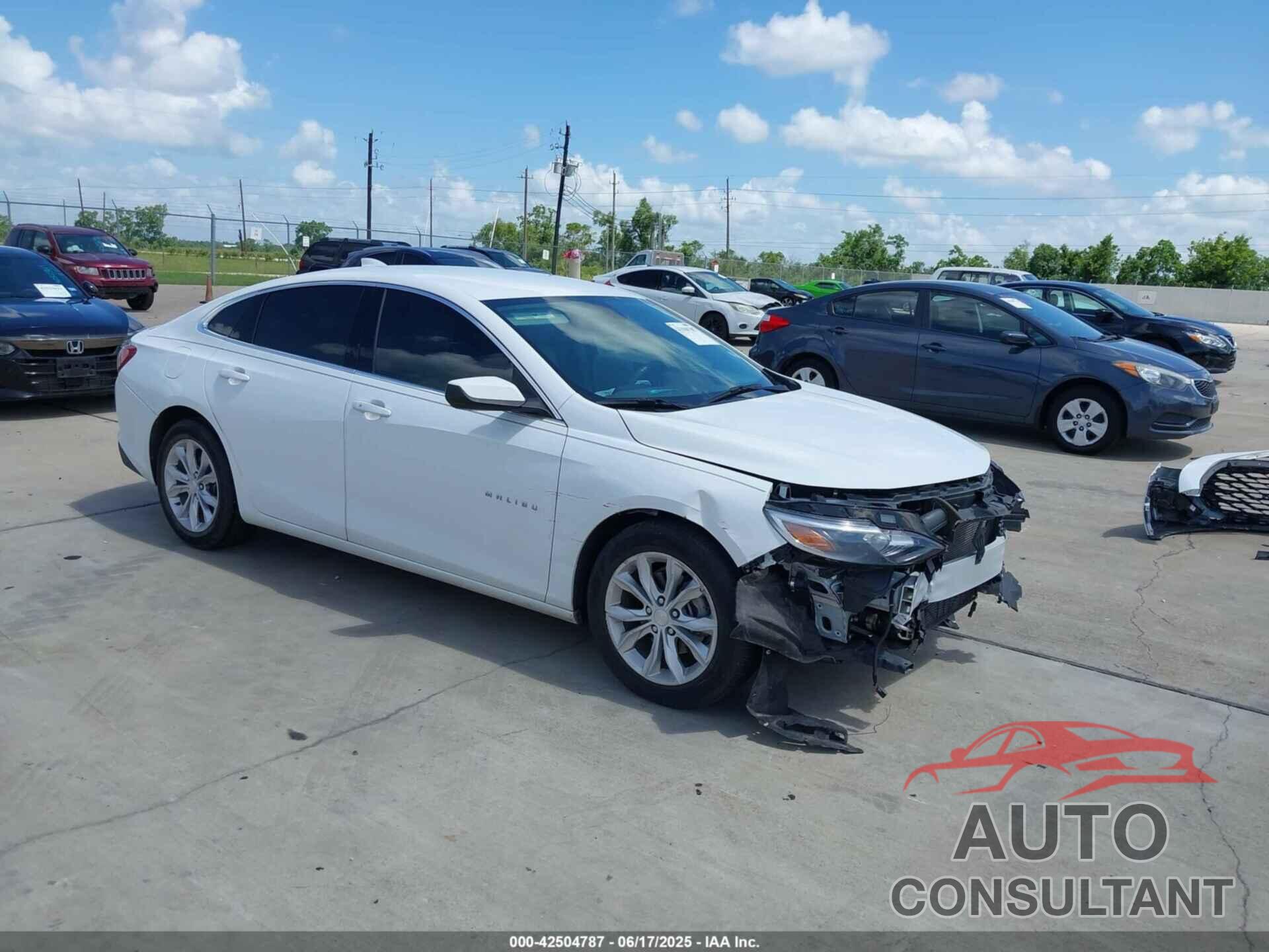 CHEVROLET MALIBU 2019 - 1G1ZD5ST7KF179081