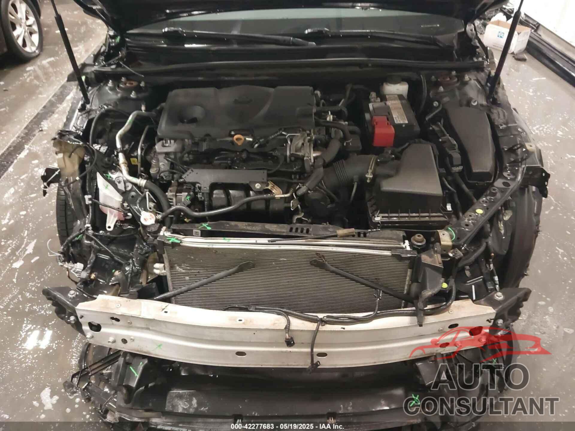 TOYOTA CAMRY 2019 - 4T1B11HK5KU279986