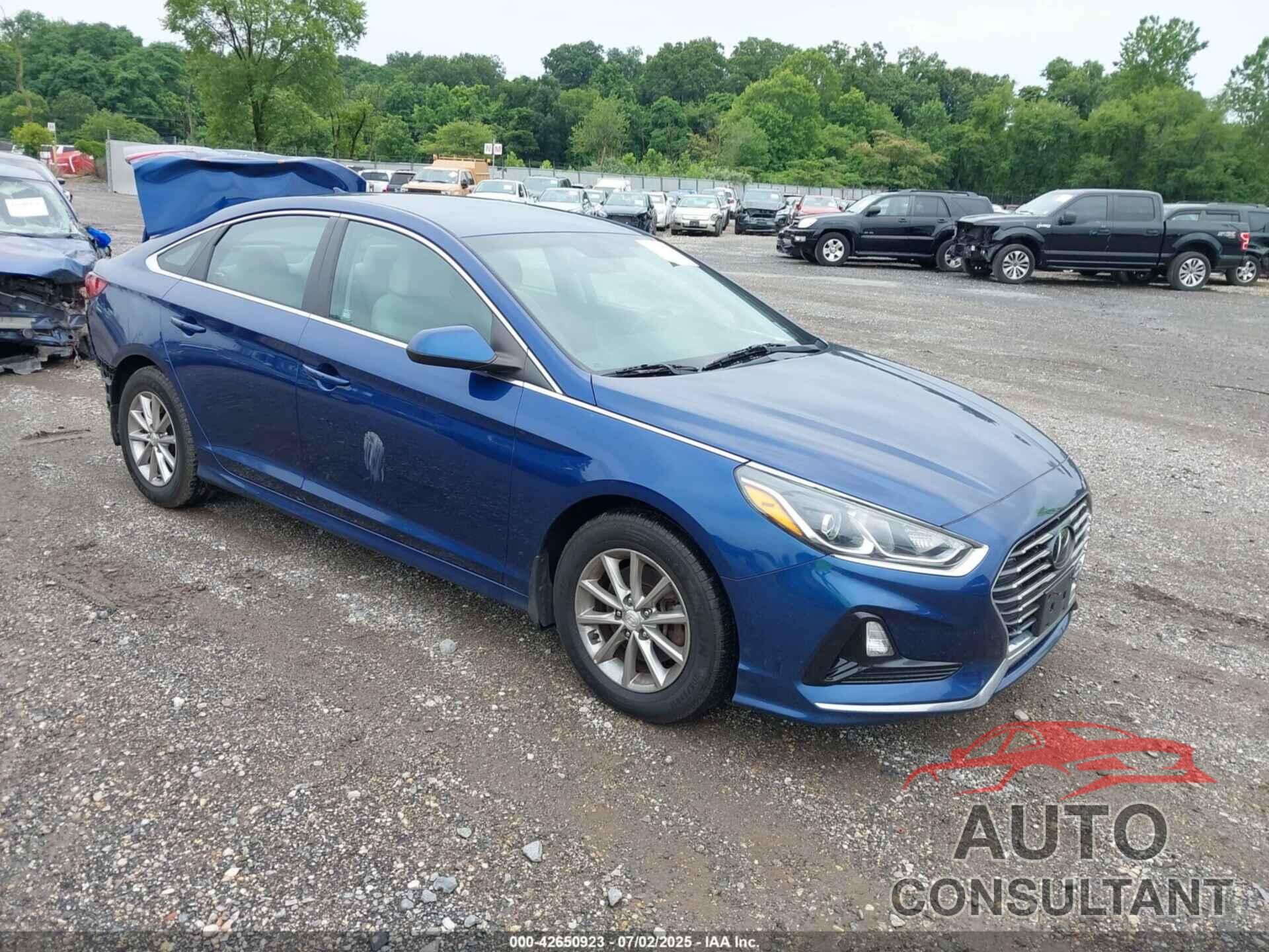 HYUNDAI SONATA 2019 - 5NPE24AF2KH751276
