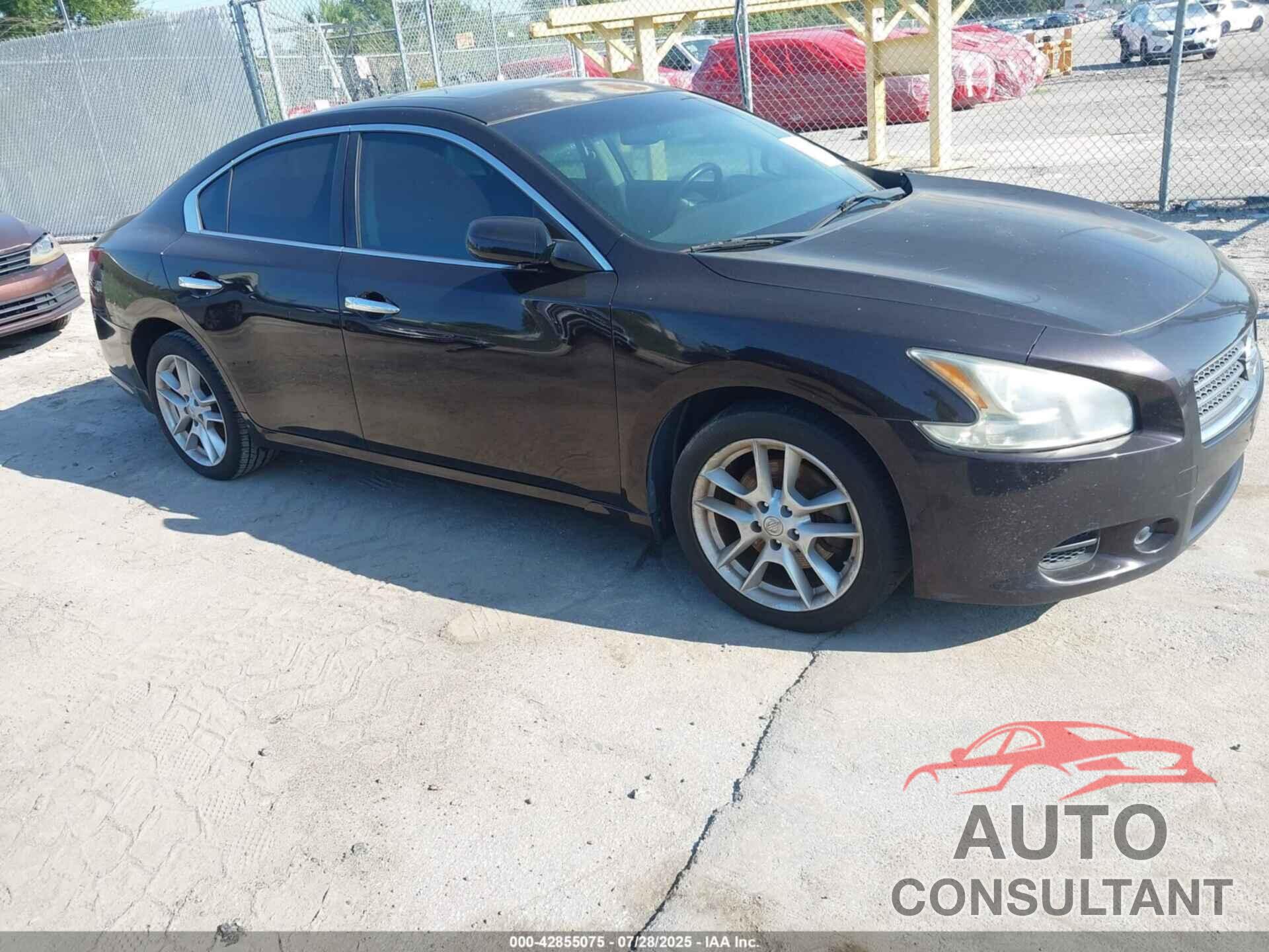 NISSAN MAXIMA 2011 - 1N4AA5AP8BC801390