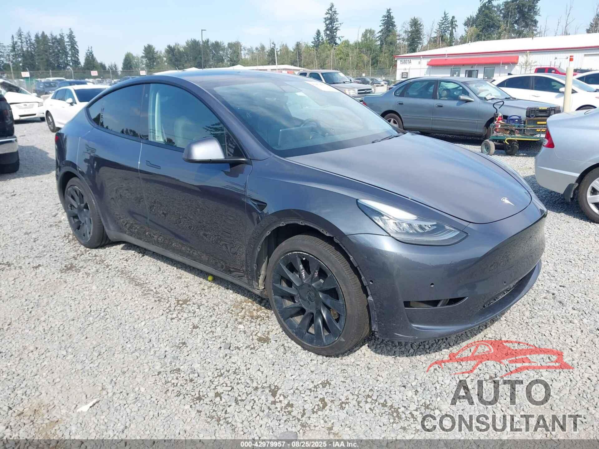TESLA MODEL Y 2020 - 5YJYGDEE8LF059619