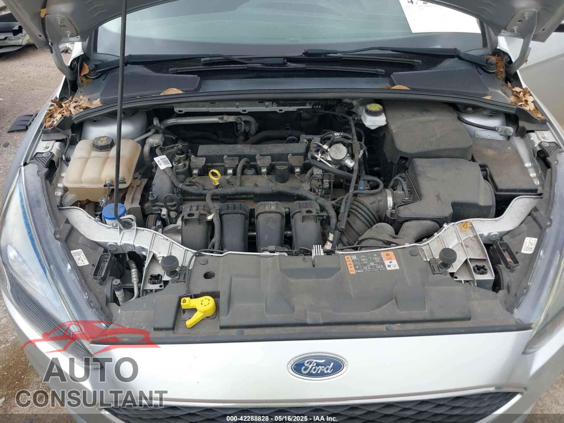 FORD FOCUS 2017 - 1FADP3H25HL344217