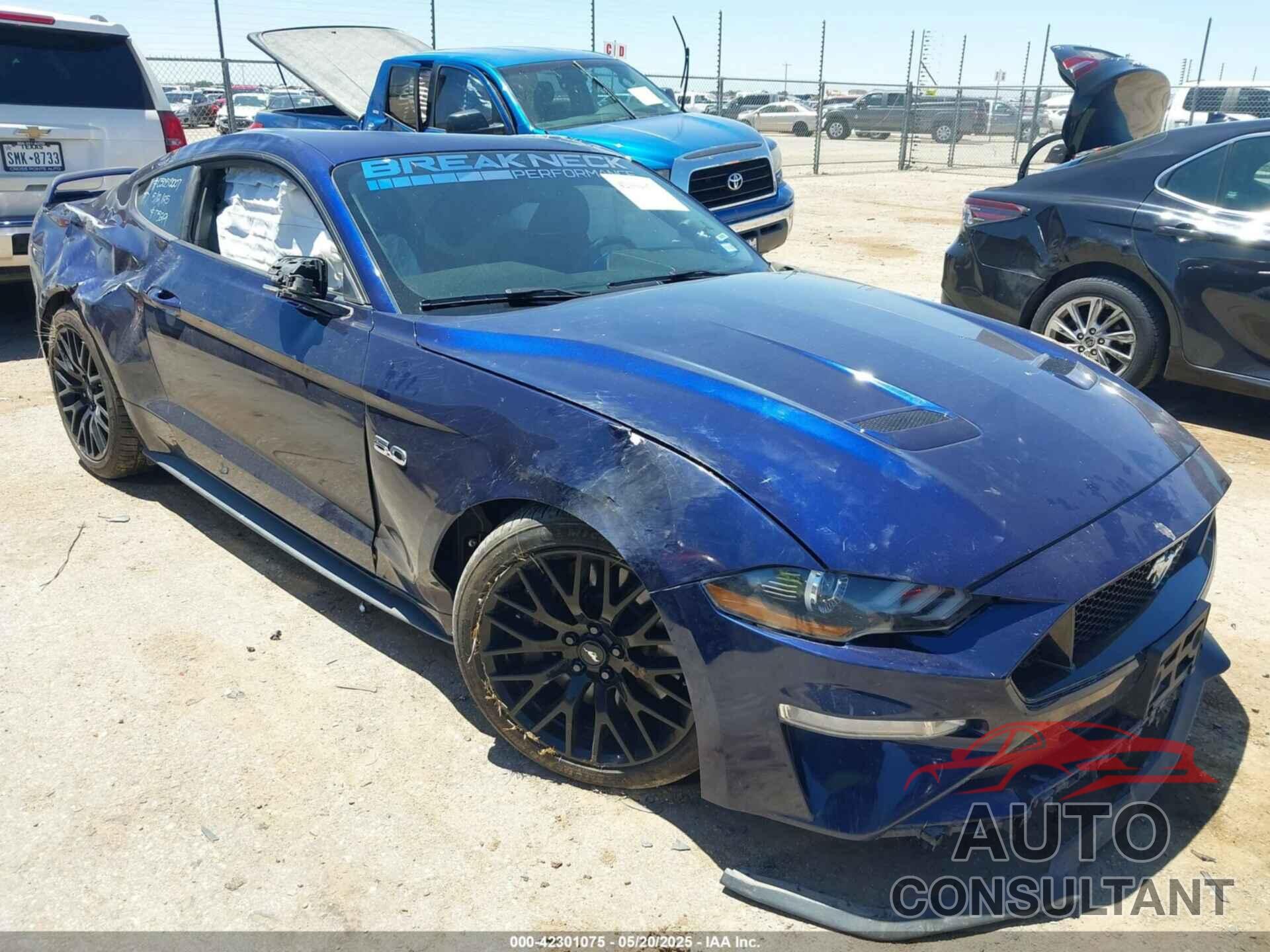 FORD MUSTANG 2019 - 1FA6P8CF6K5163459