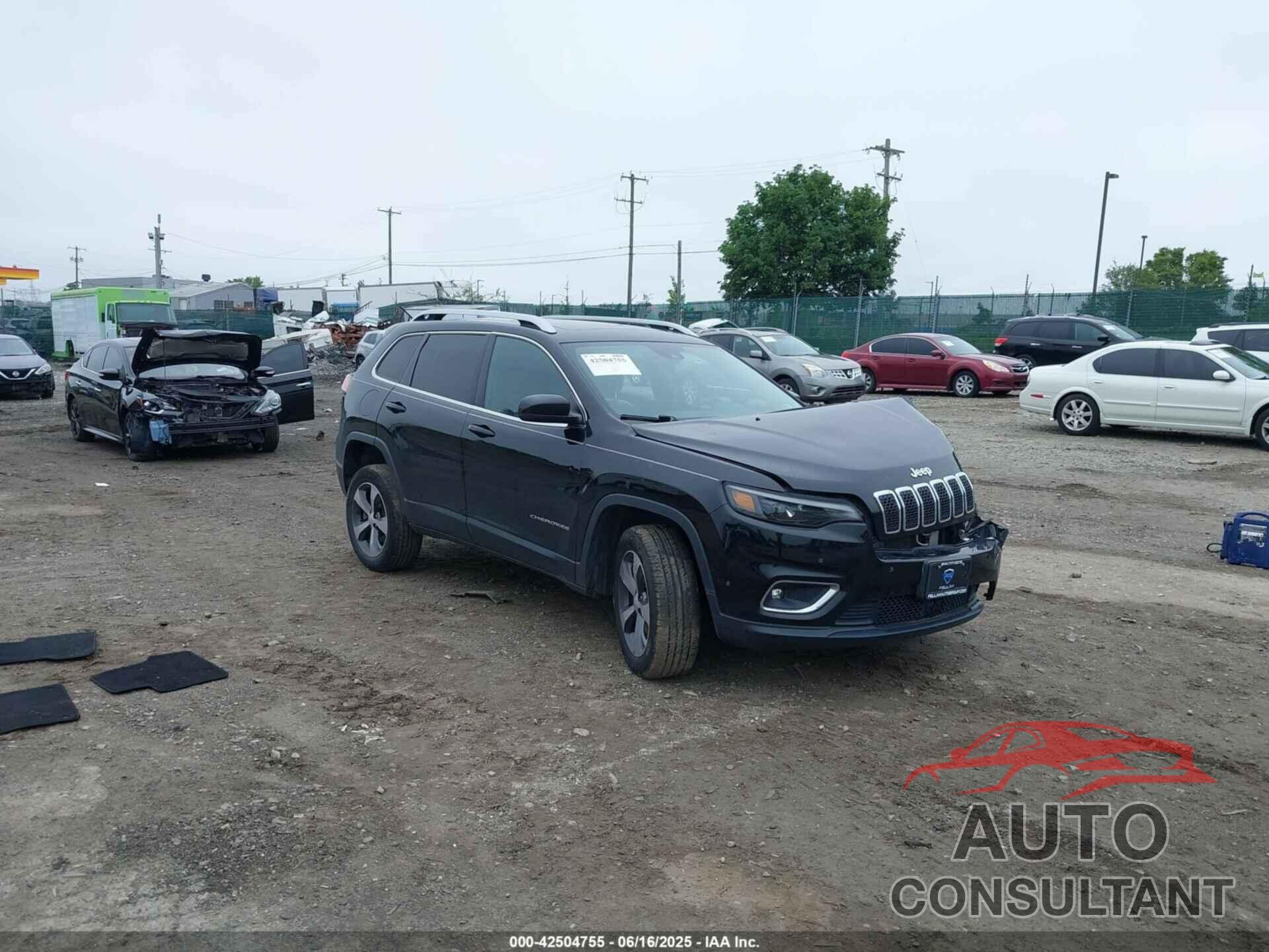 JEEP CHEROKEE 2019 - 1C4PJMDN9KD292316