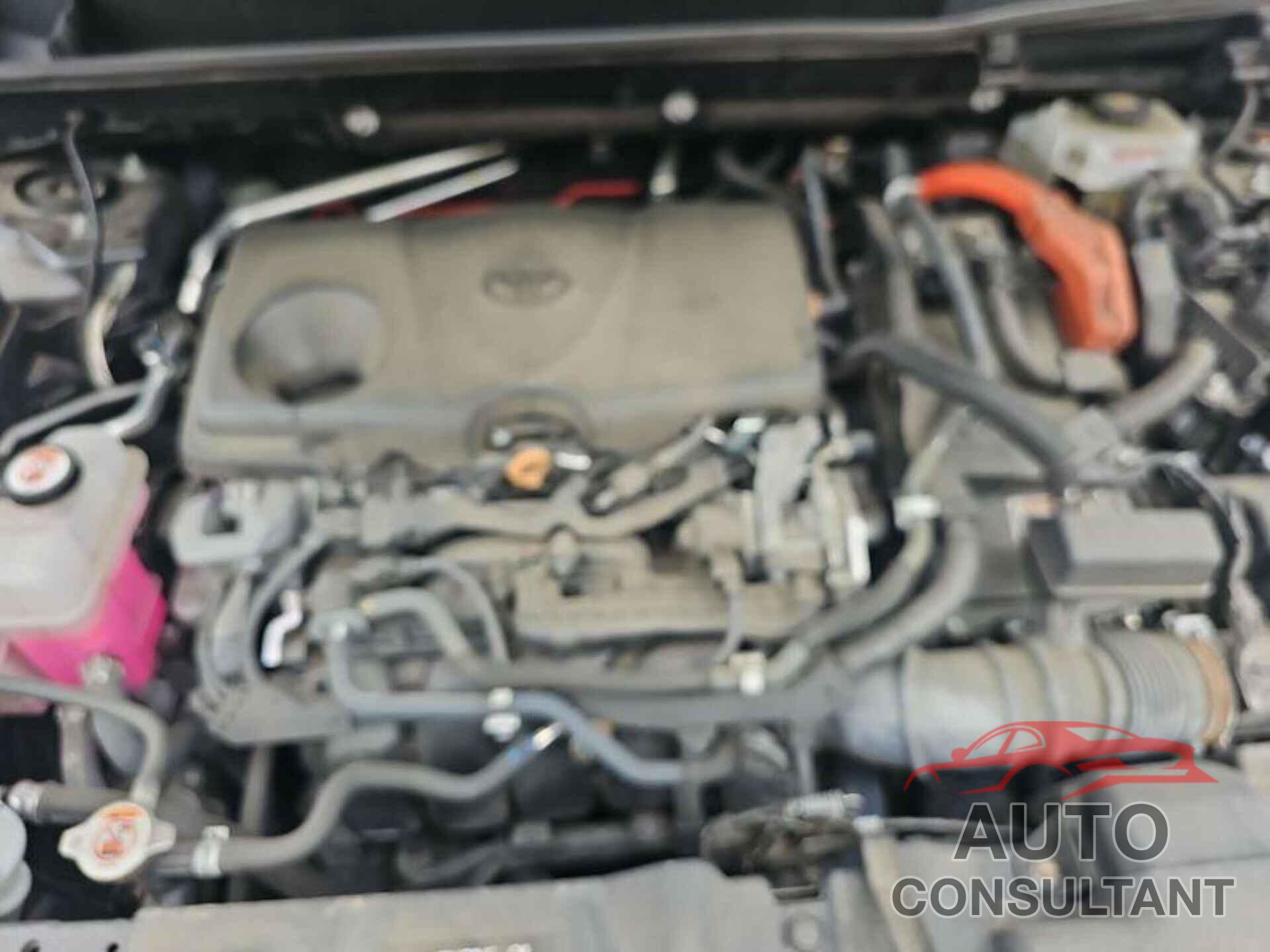 TOYOTA RAV4 2021 - 2T3B6RFV8MW020173