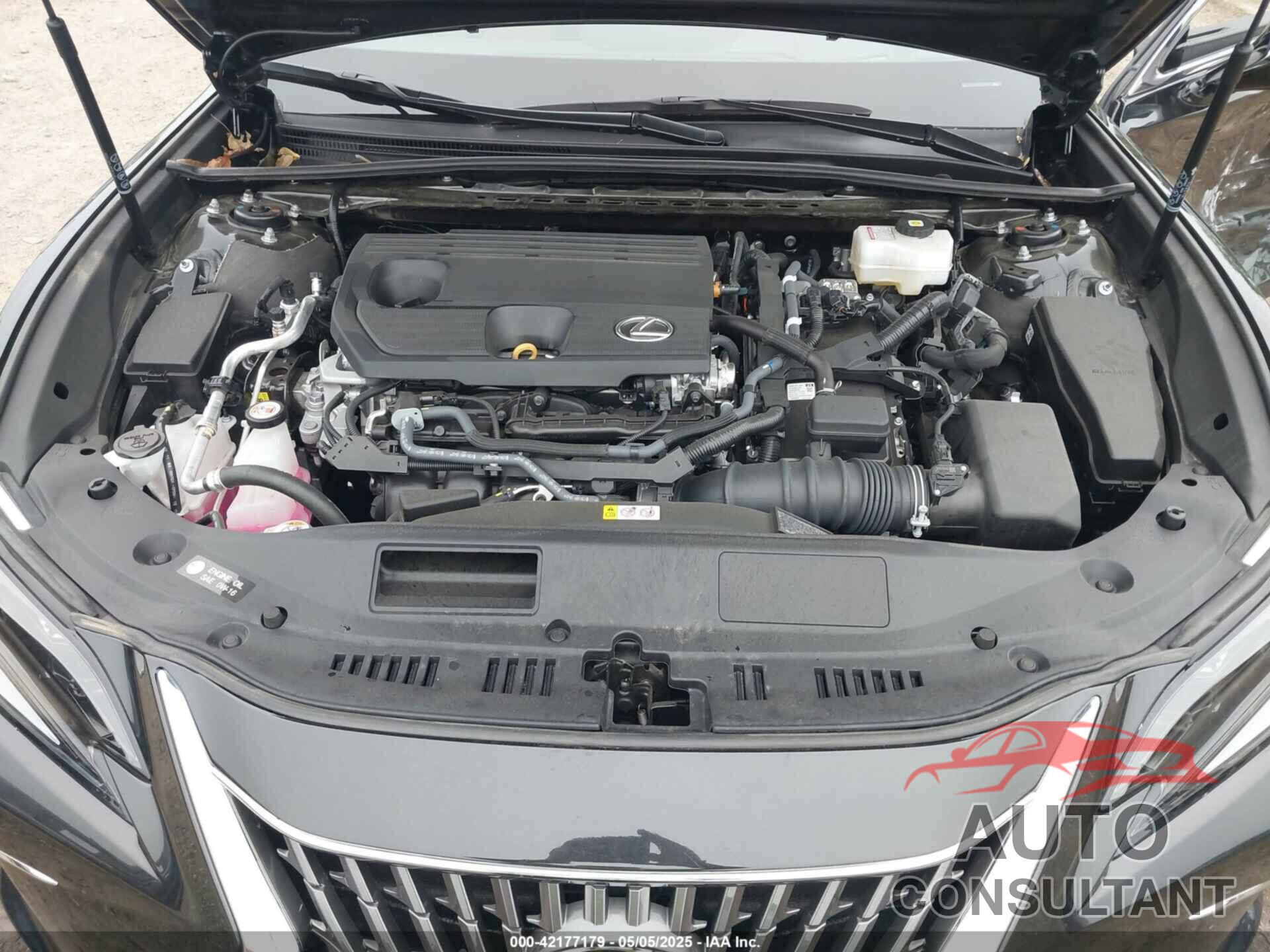 LEXUS ES 300H 2024 - 58AFA1C13RU048538