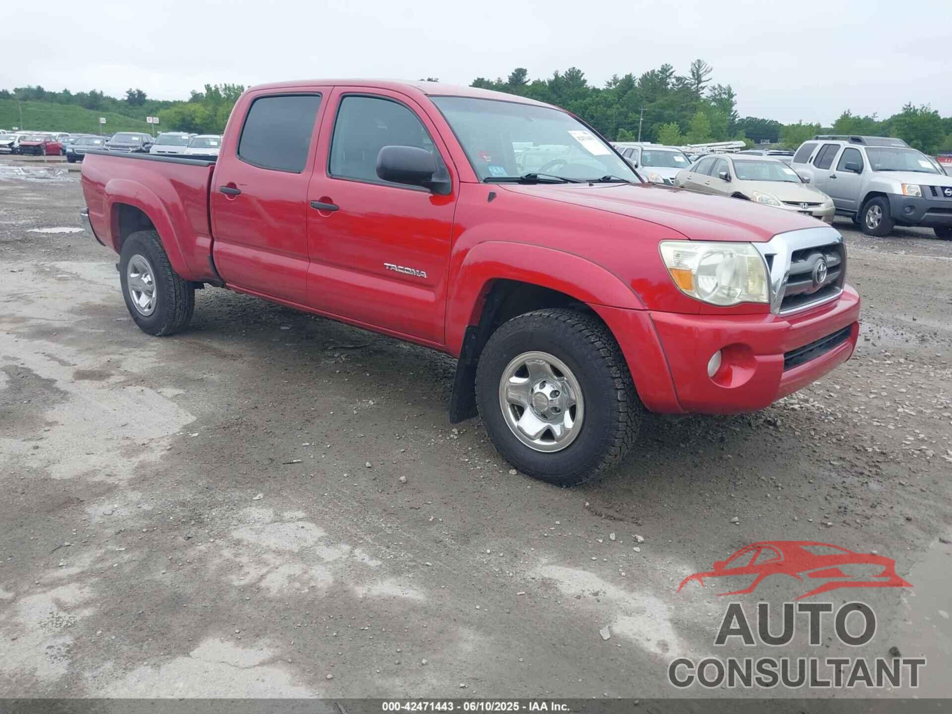 TOYOTA TACOMA 2009 - 3TMMU52N29M012186