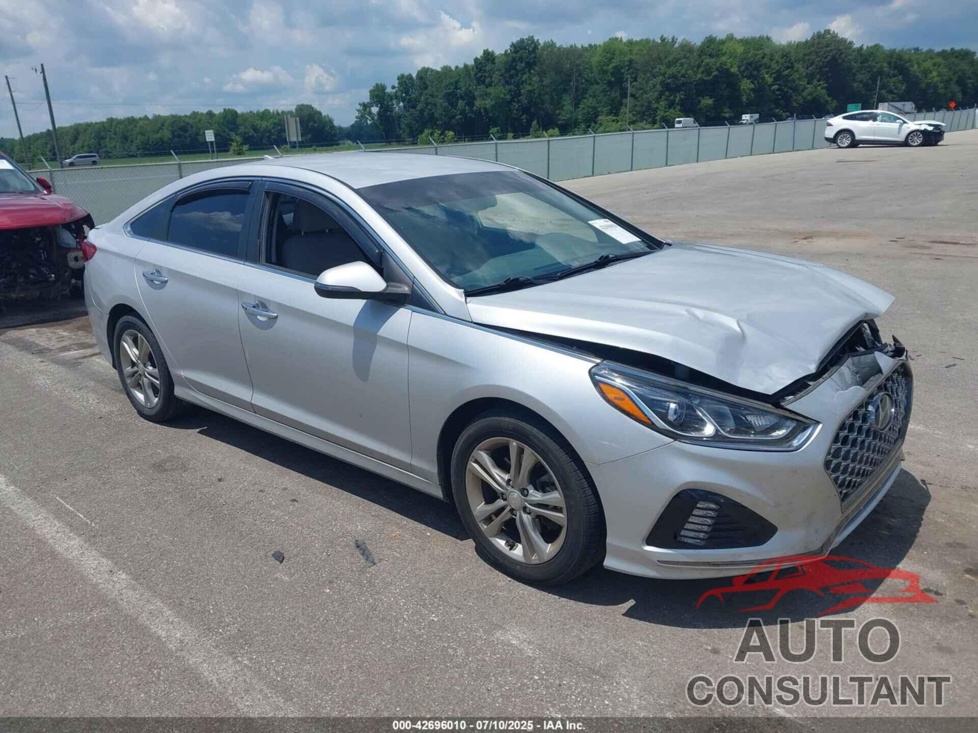 HYUNDAI SONATA 2019 - 5NPE34AF1KH789336