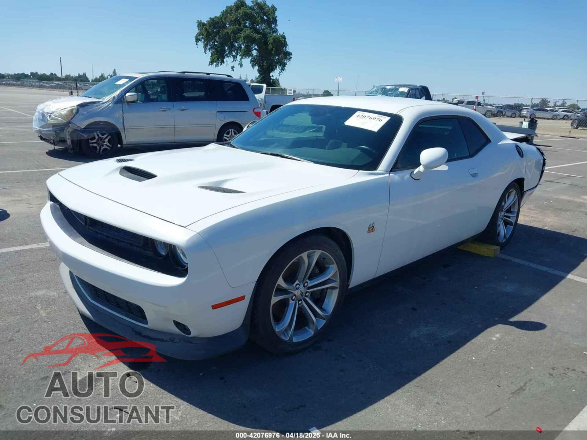 DODGE CHALLENGER 2019 - 2C3CDZFJ2KH747480