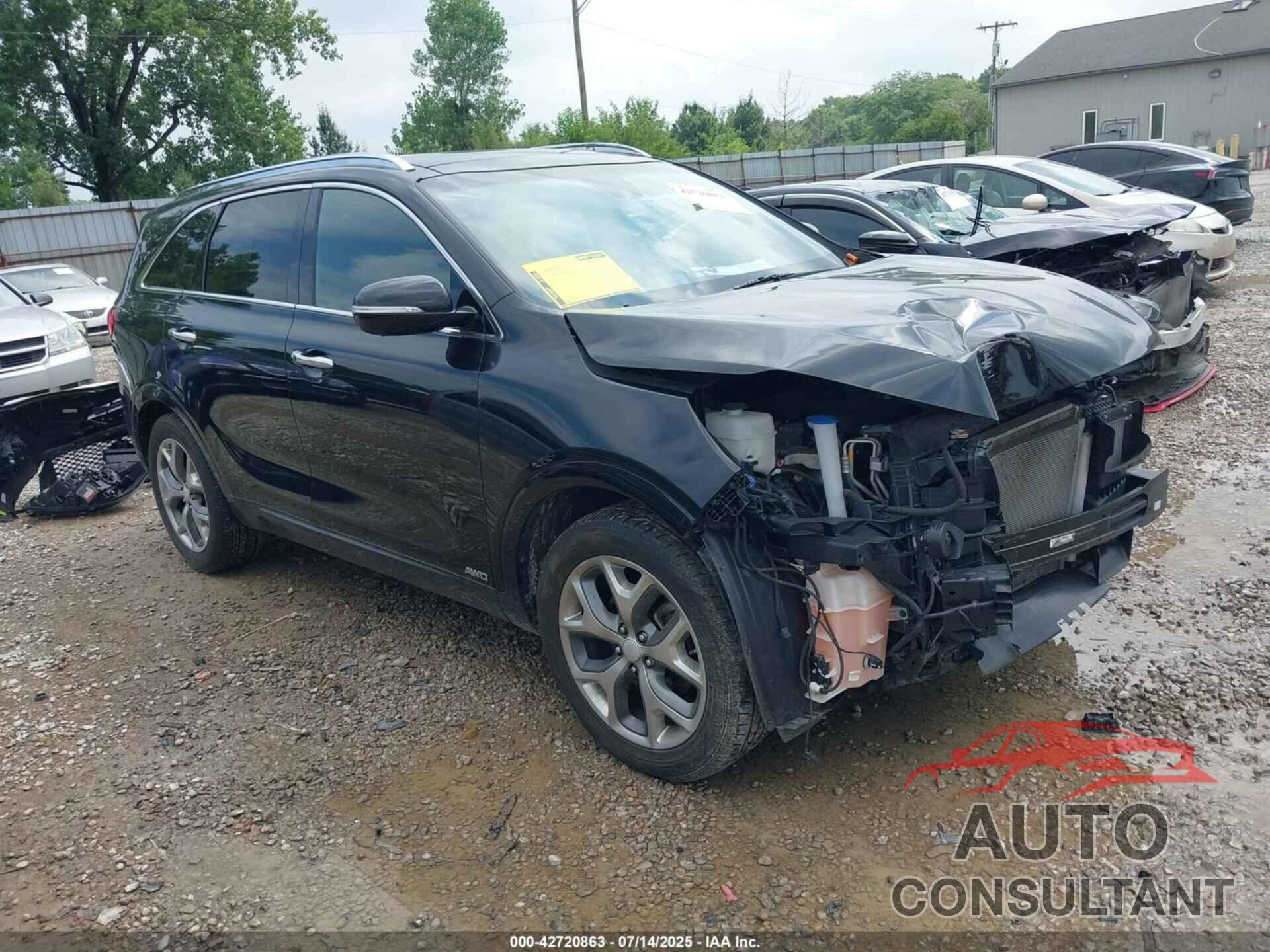 KIA SORENTO 2016 - 5XYPKDA13GG001557