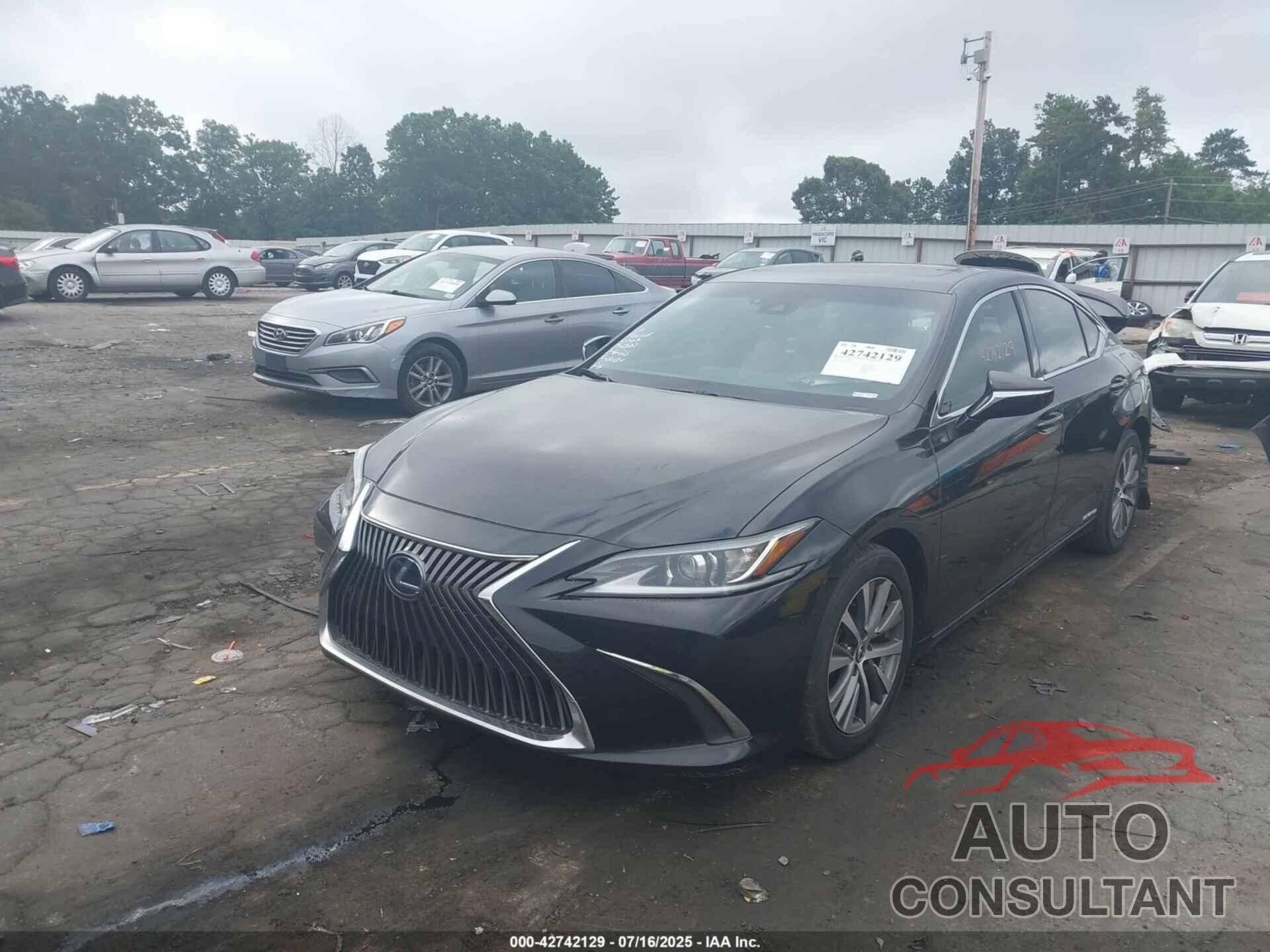 LEXUS ES 2020 - 58AD21B17LU010503