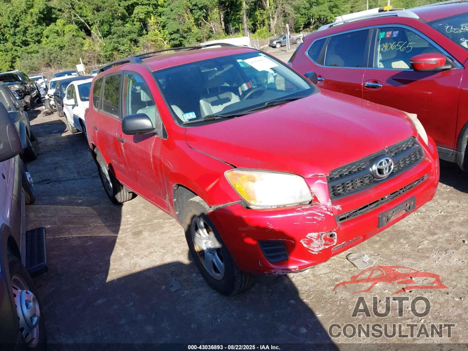 TOYOTA RAV4 2010 - 2T3BF4DVXAW028972