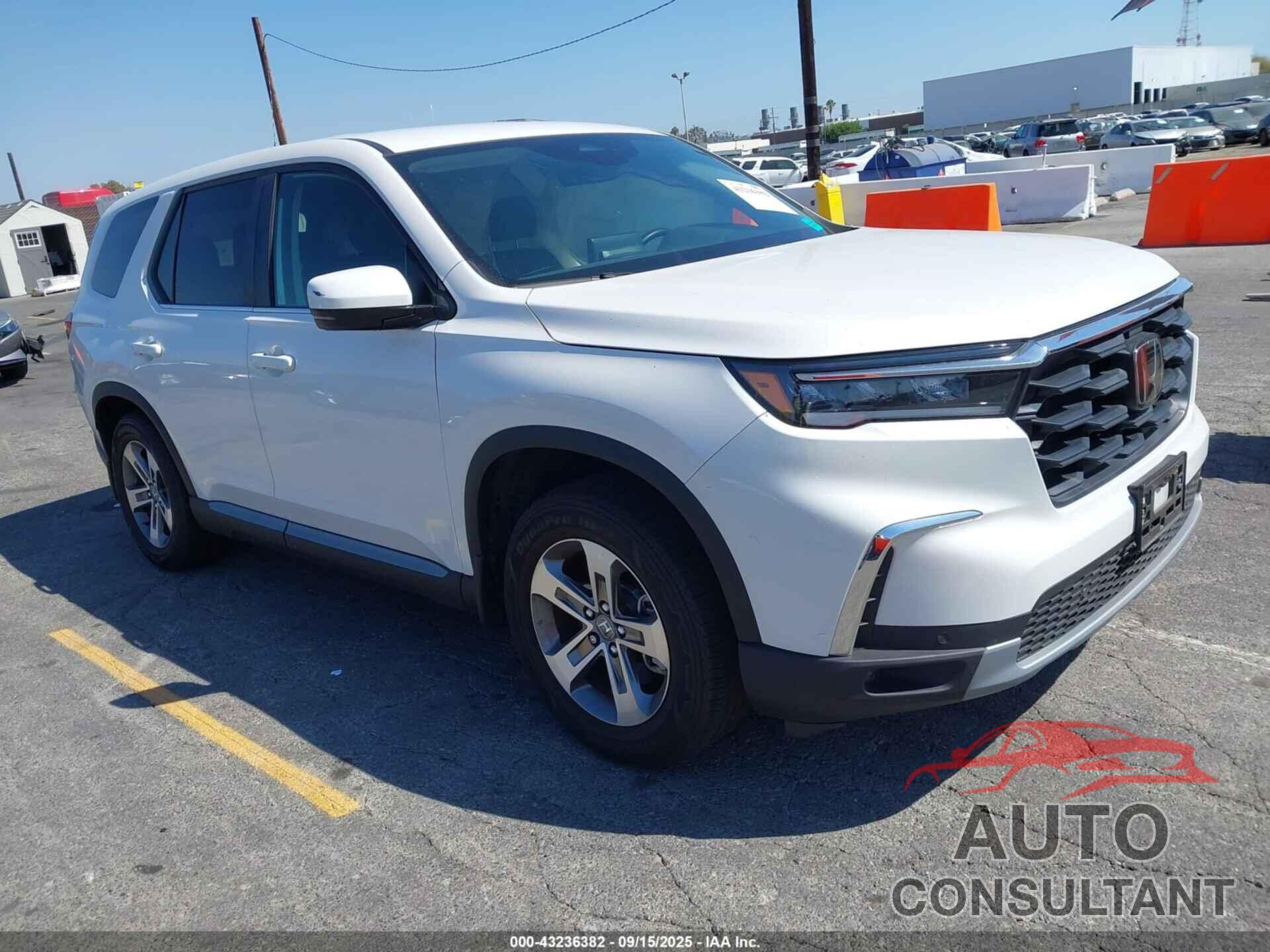 HONDA PILOT 2024 - 5FNYG2H49RB012602