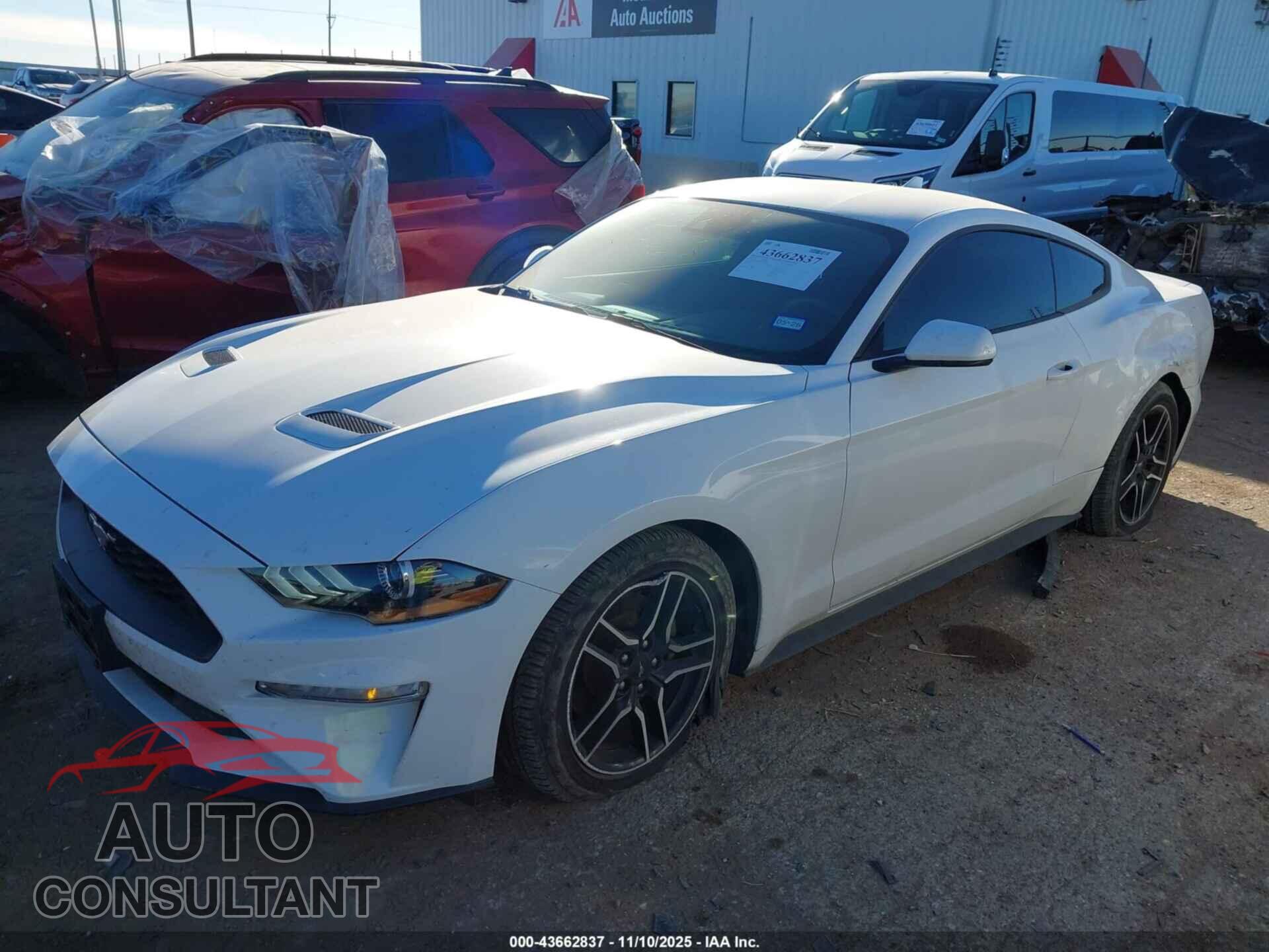 FORD MUSTANG 2021 - 1FA6P8TH9M5154940