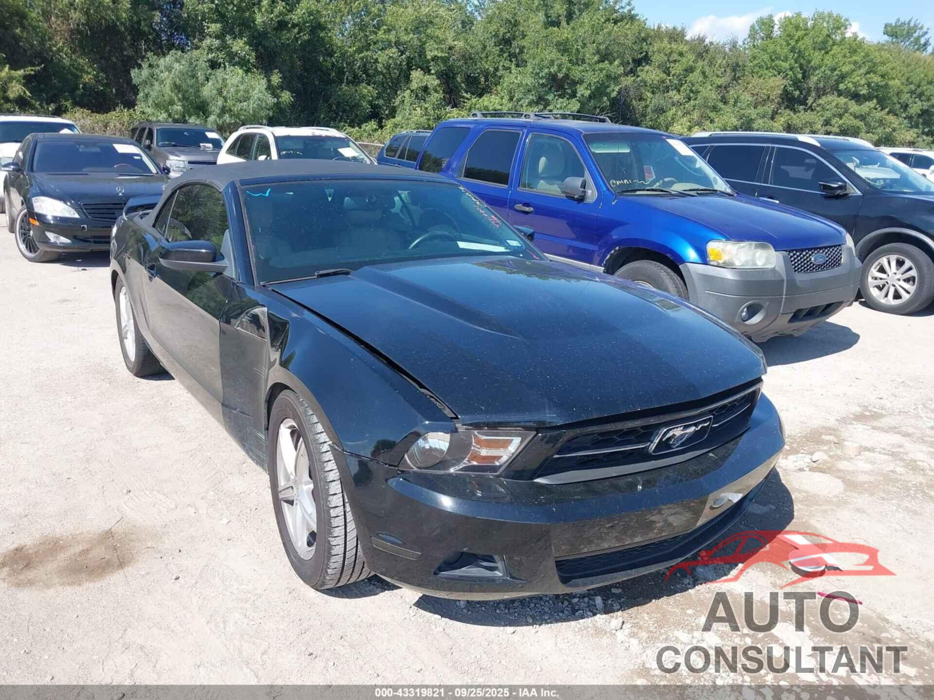 FORD MUSTANG 2011 - 1ZVBP8EM3B5146247