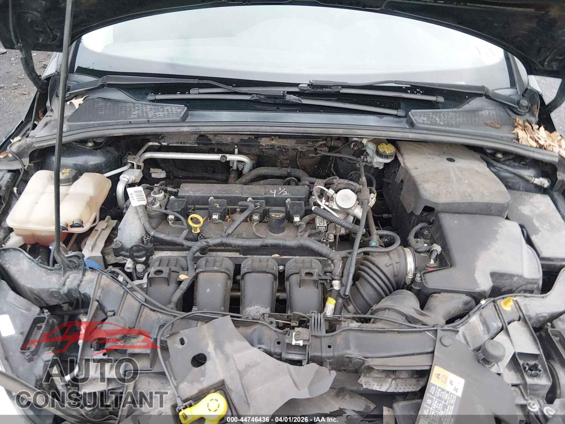 FORD FOCUS 2016 - 1FADP3E26GL401432