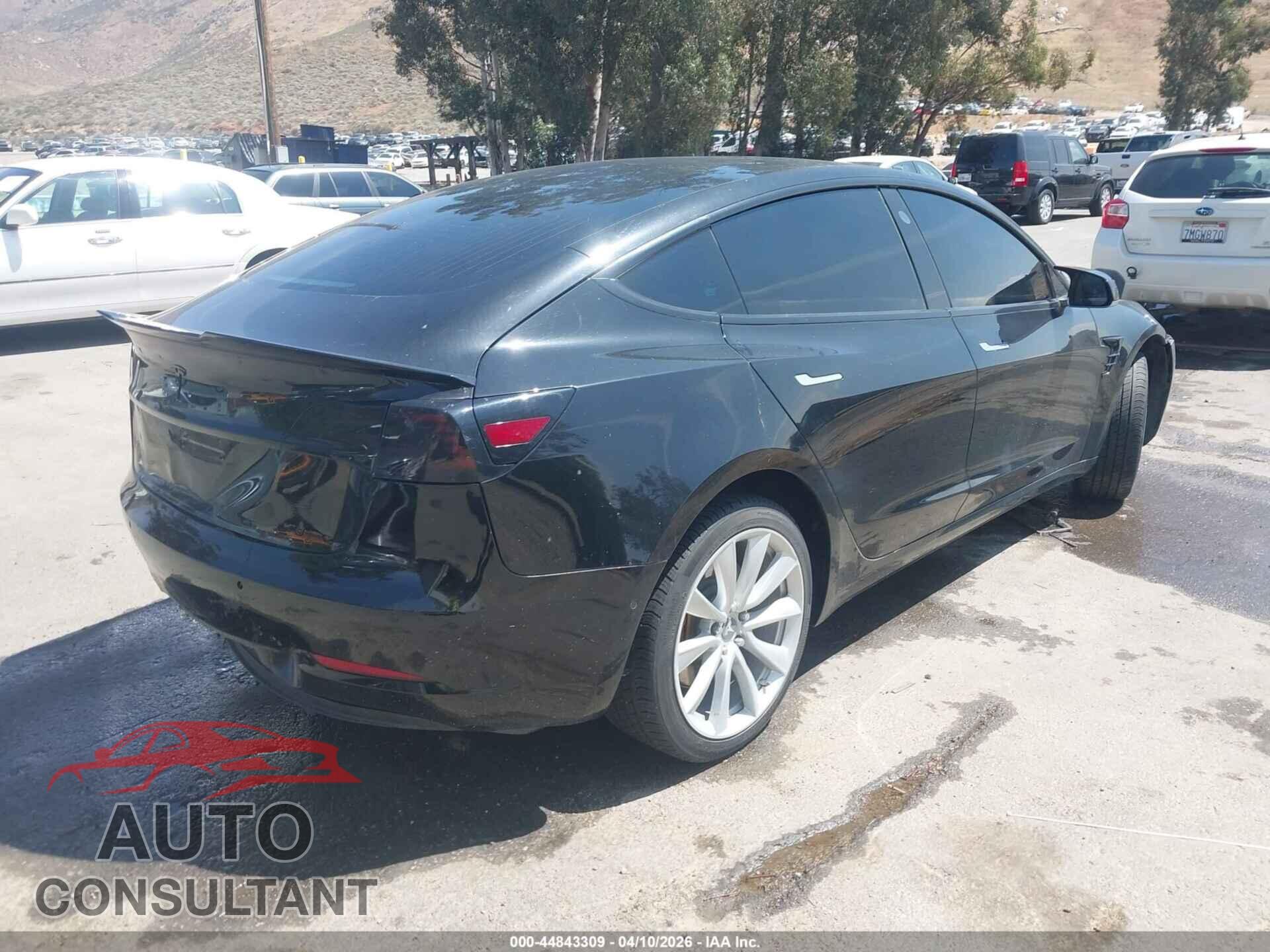 TESLA MODEL 3 2019 - 5YJ3E1EA1KF434776