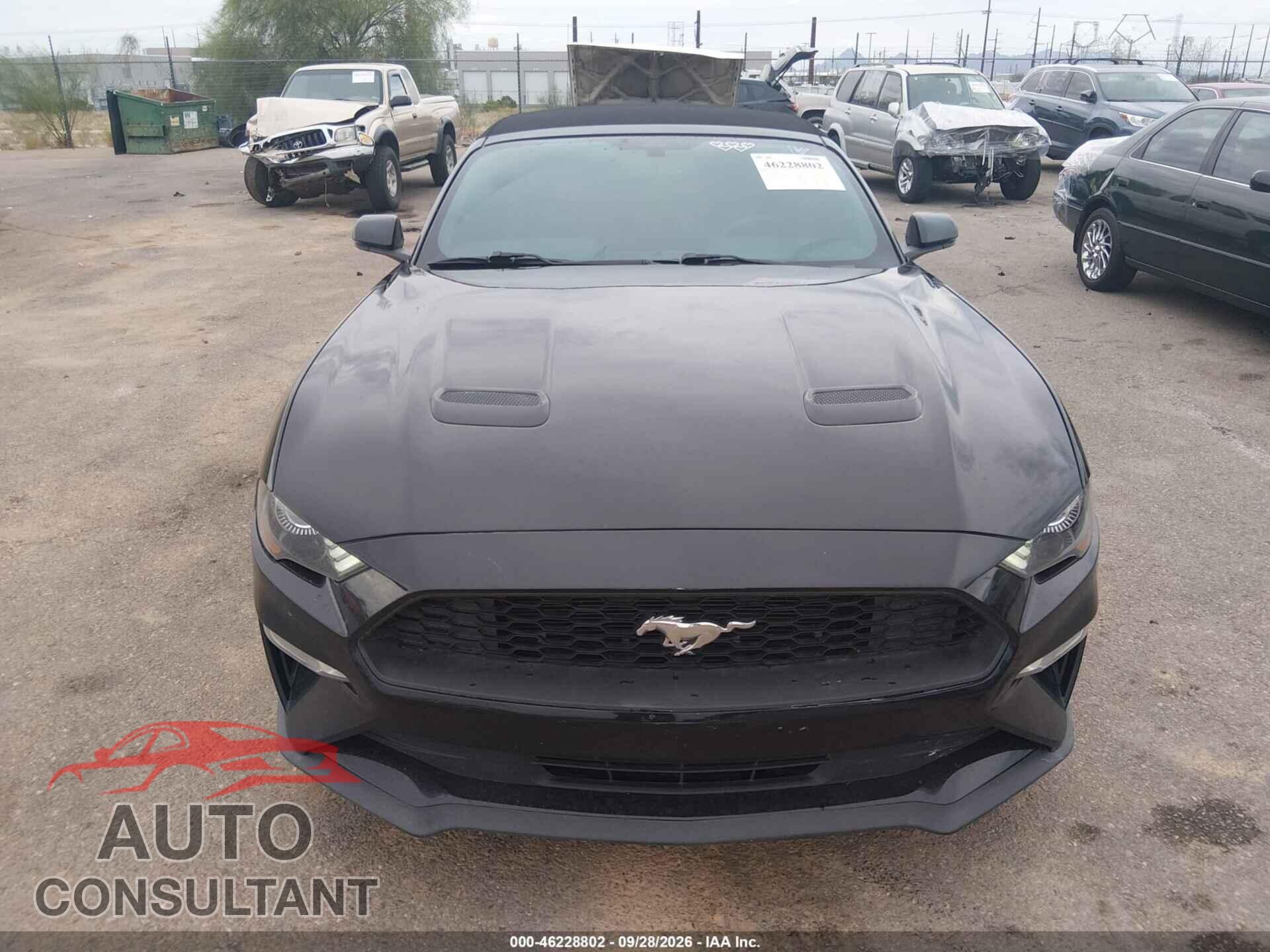 FORD MUSTANG 2019 - 1FATP8UH2K5135340