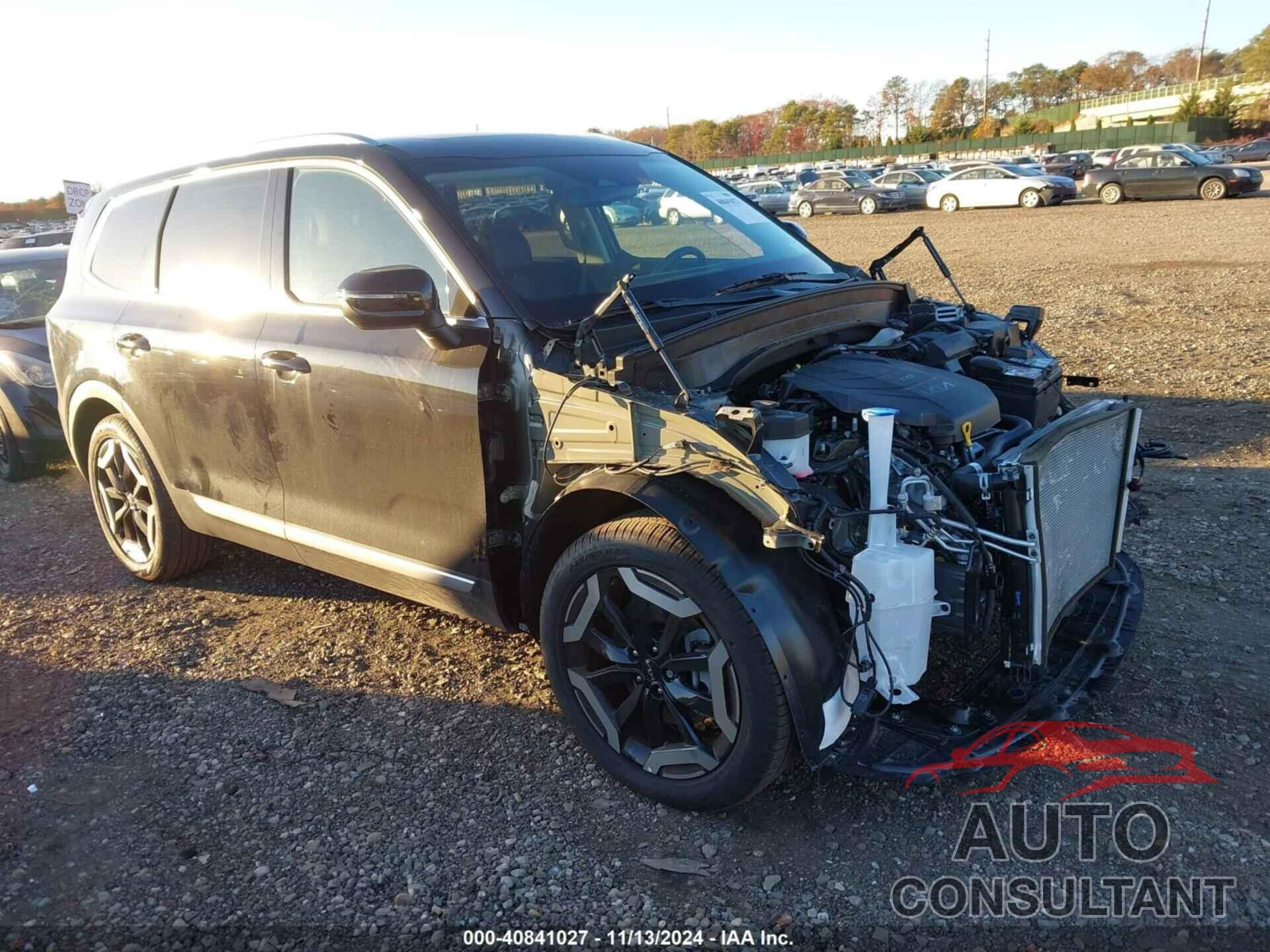 KIA TELLURIDE 2024 - 5XYP3DGCXRG523515