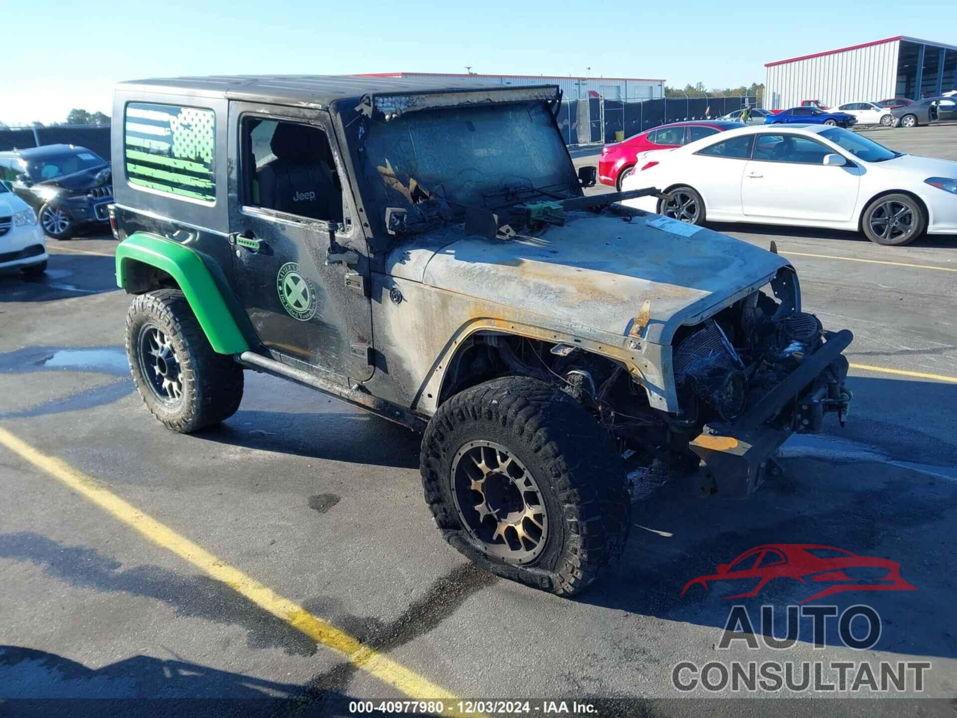 JEEP WRANGLER 2010 - 1J4AA2D13AL127383