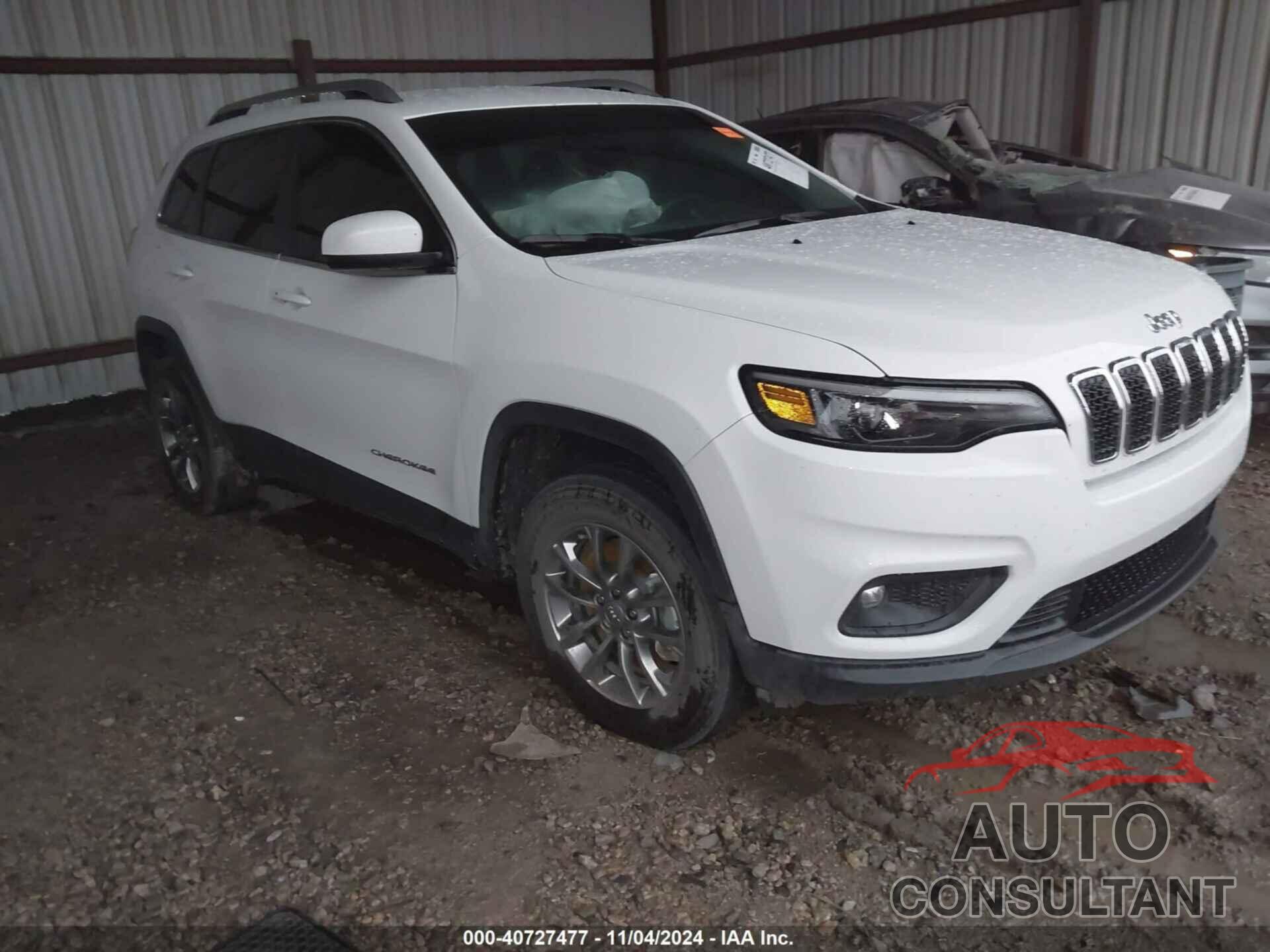 JEEP CHEROKEE 2020 - 1C4PJMLB7LD569523