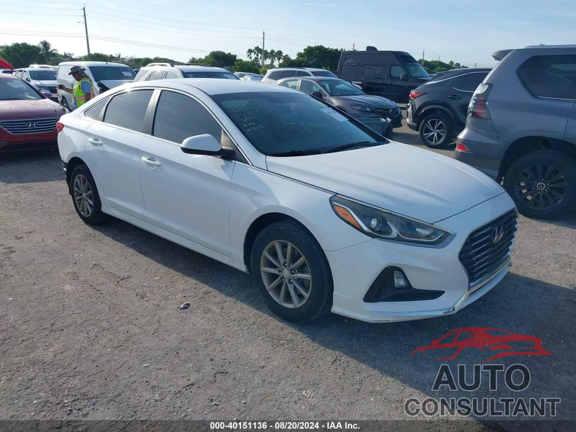 HYUNDAI SONATA 2019 - 5NPE24AF8KH753484