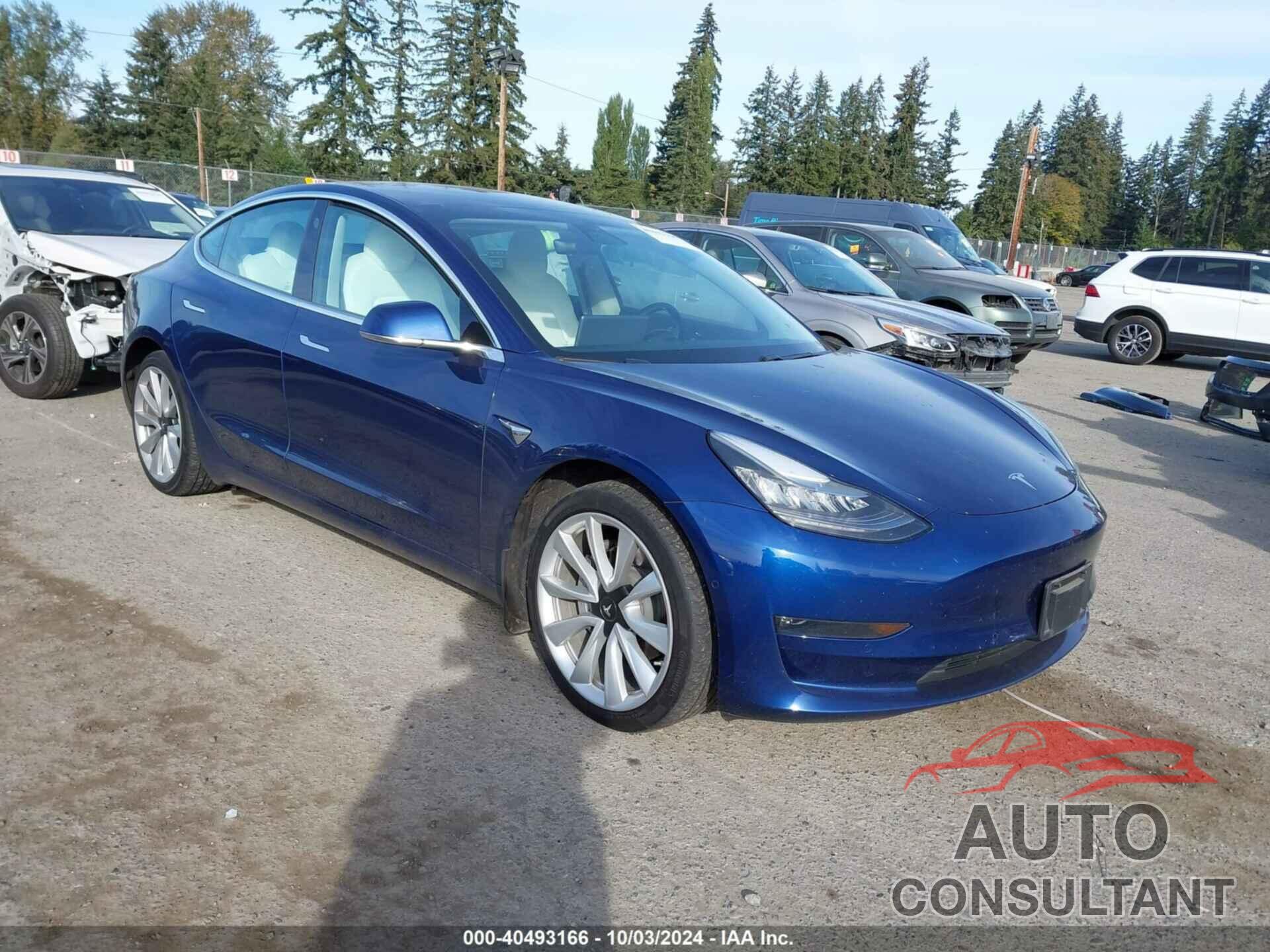 TESLA MODEL 3 2019 - 5YJ3E1EB3KF406969