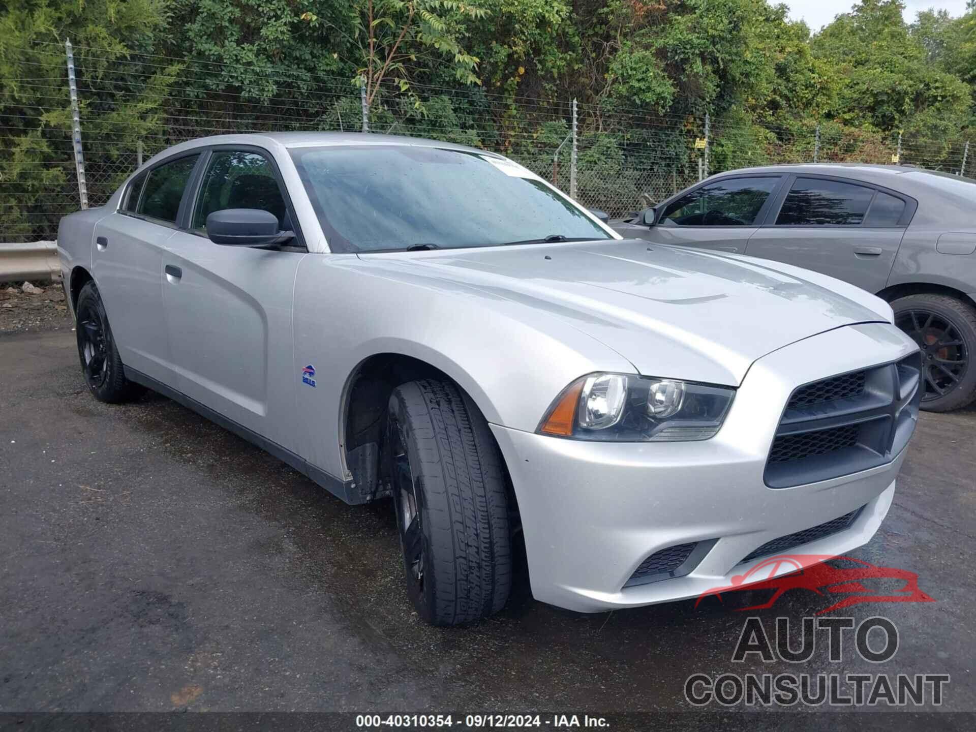 DODGE CHARGER 2014 - 2C3CDXAT7EH190843