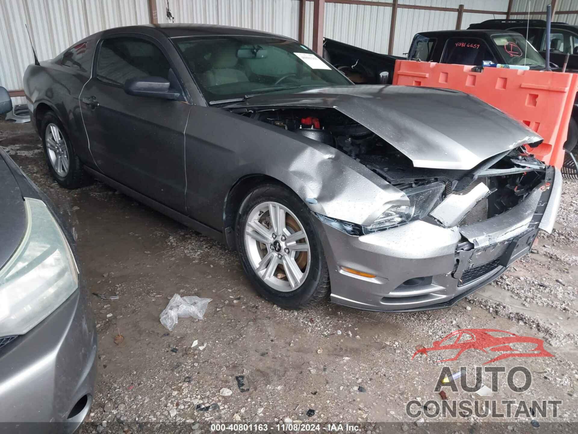 FORD MUSTANG 2014 - 1ZVBP8AM3E5332042