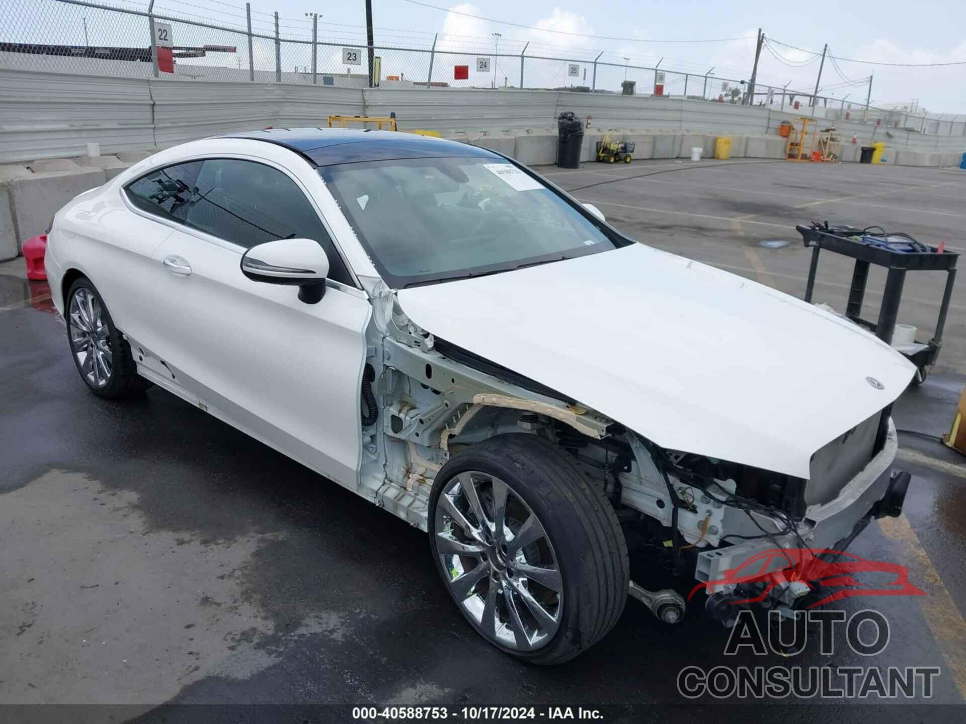 MERCEDES-BENZ C 300 2019 - WDDWJ8DB6KF800406