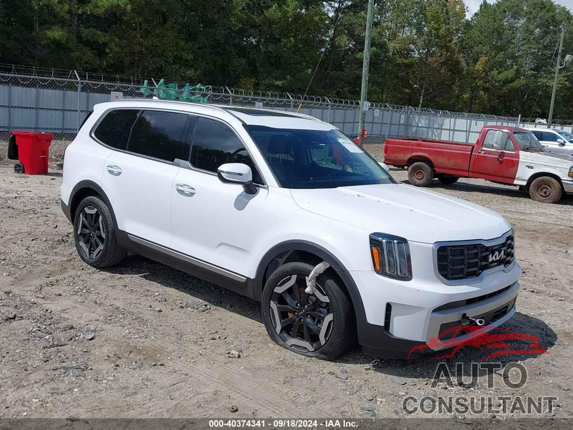 KIA TELLURIDE 2024 - 5XYP64GC7RG464799