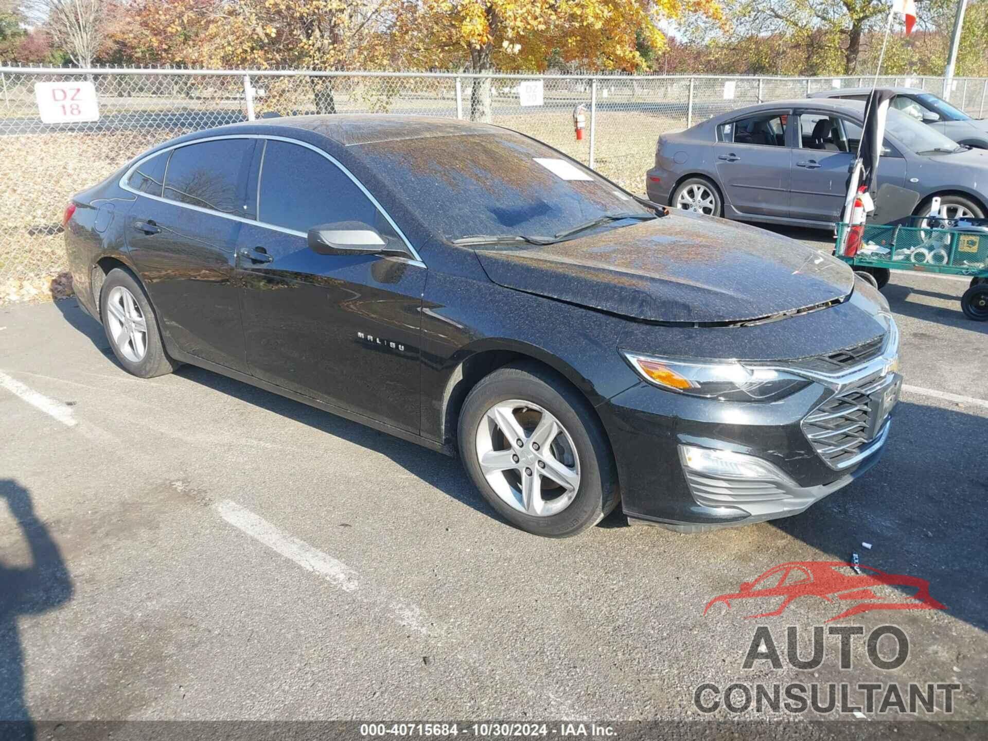 CHEVROLET MALIBU 2019 - 1G1ZB5ST9KF189746