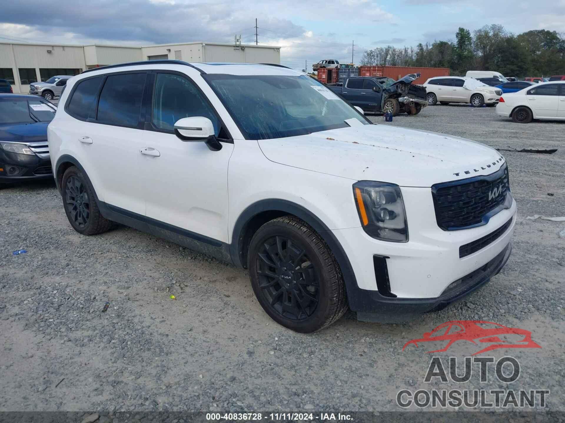 KIA TELLURIDE 2022 - 5XYP5DHCXNG272353