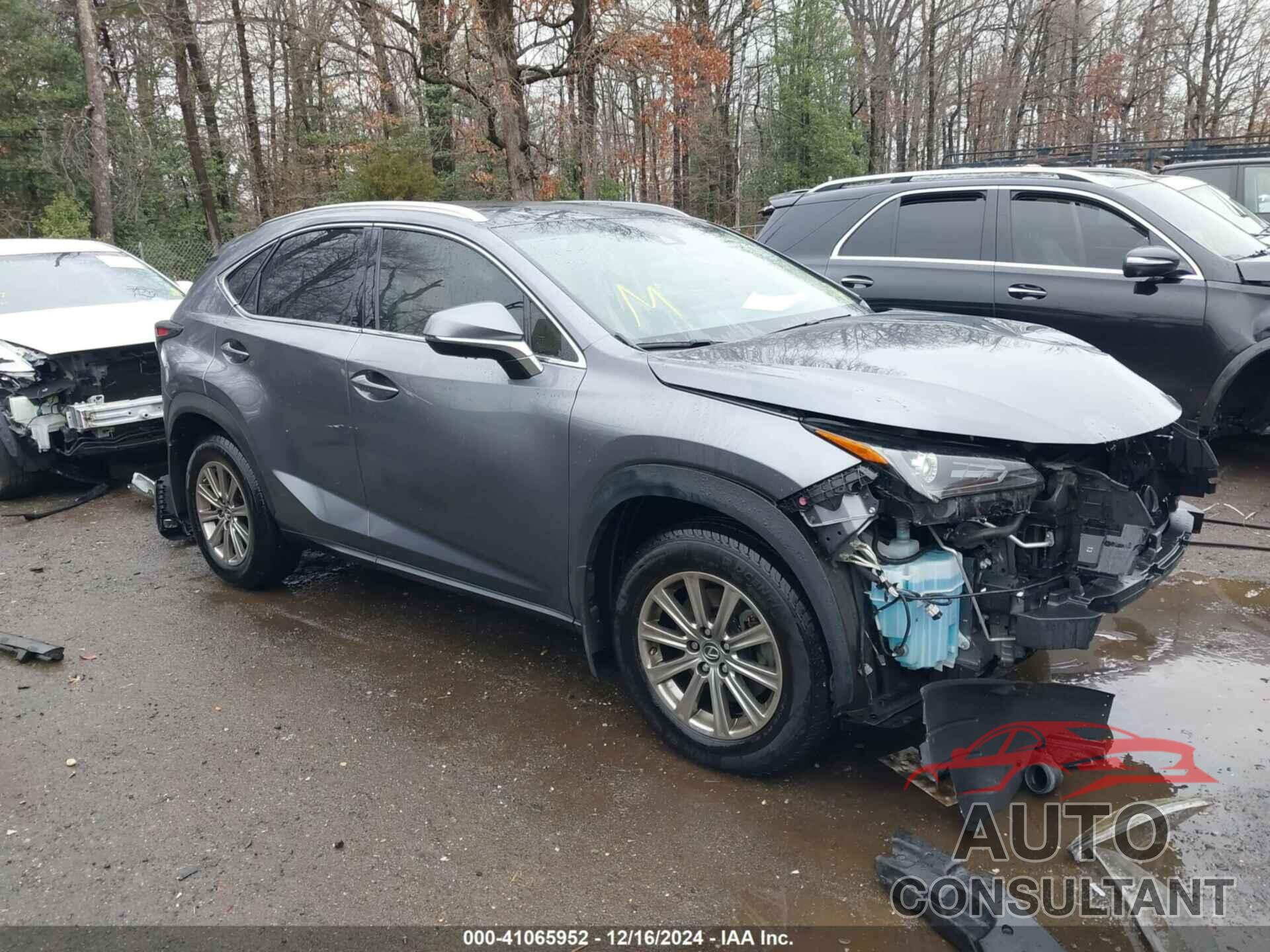 LEXUS NX 300 2019 - JTJBARBZ7K2203560