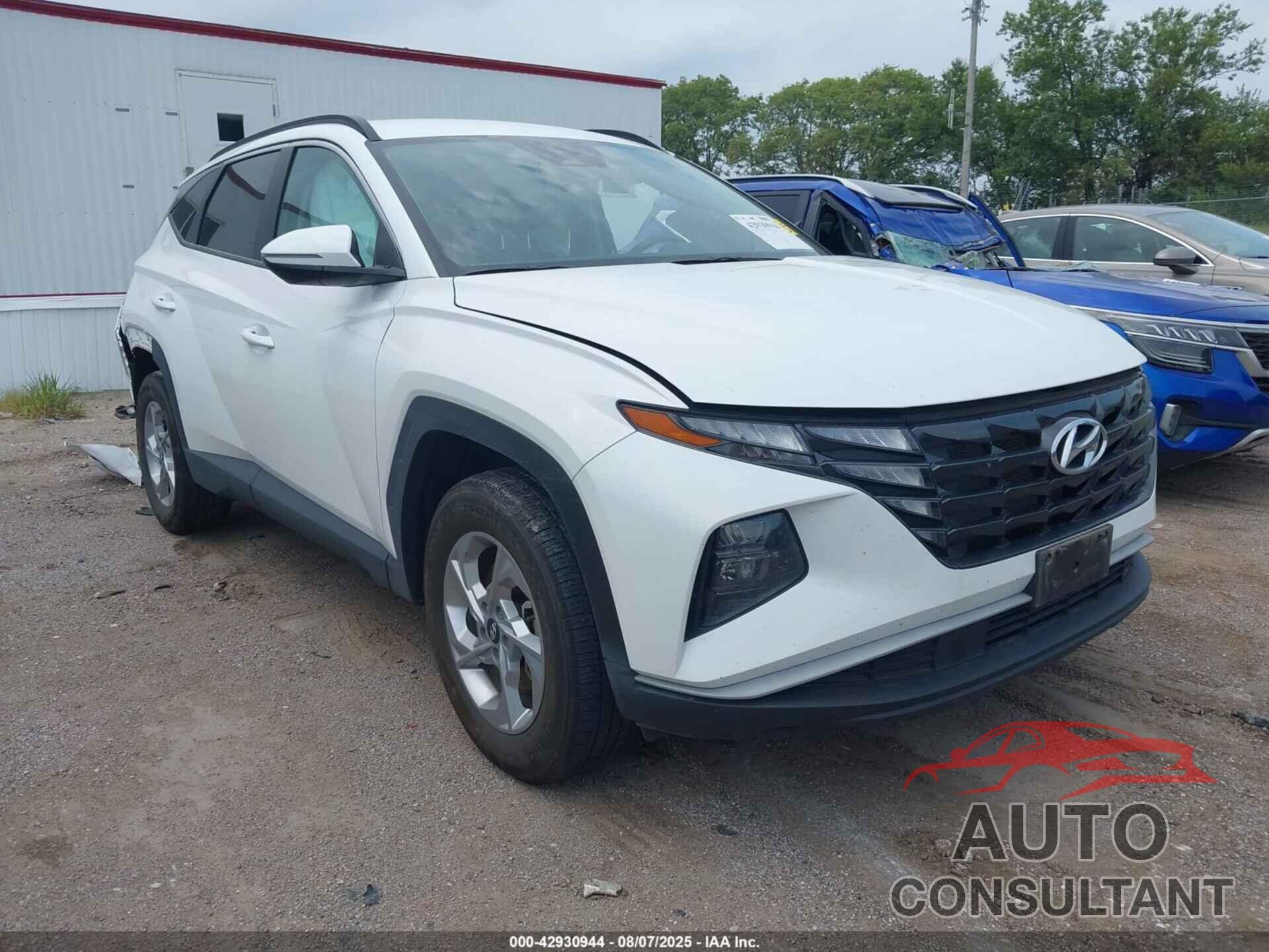 HYUNDAI TUCSON 2023 - 5NMJBCAEXPH179880