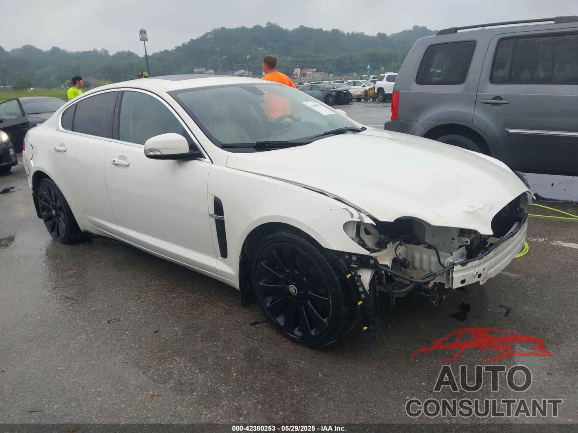JAGUAR XF 2009 - SAJWA06B69HR15693