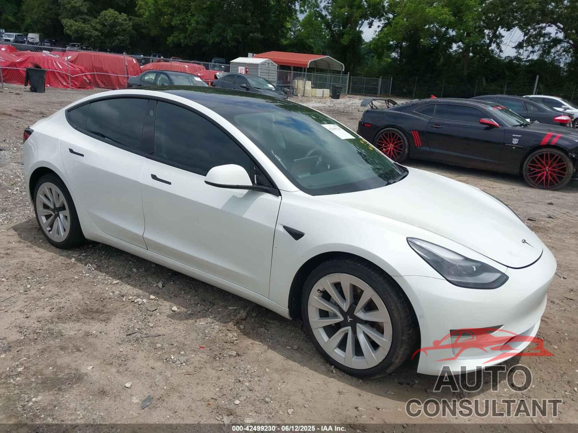TESLA MODEL 3 2021 - 5YJ3E1EA2MF046121
