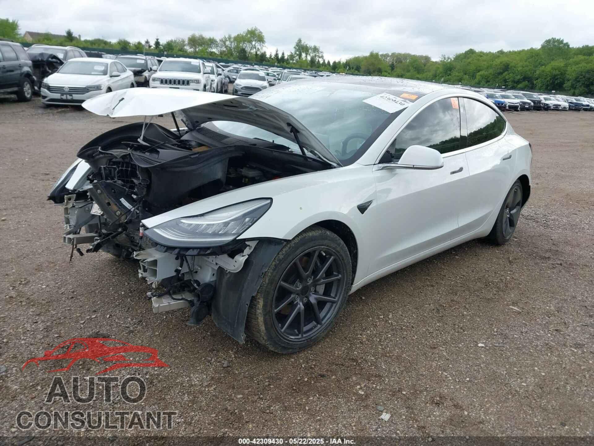 TESLA MODEL 3 2020 - 5YJ3E1EA7LF710041