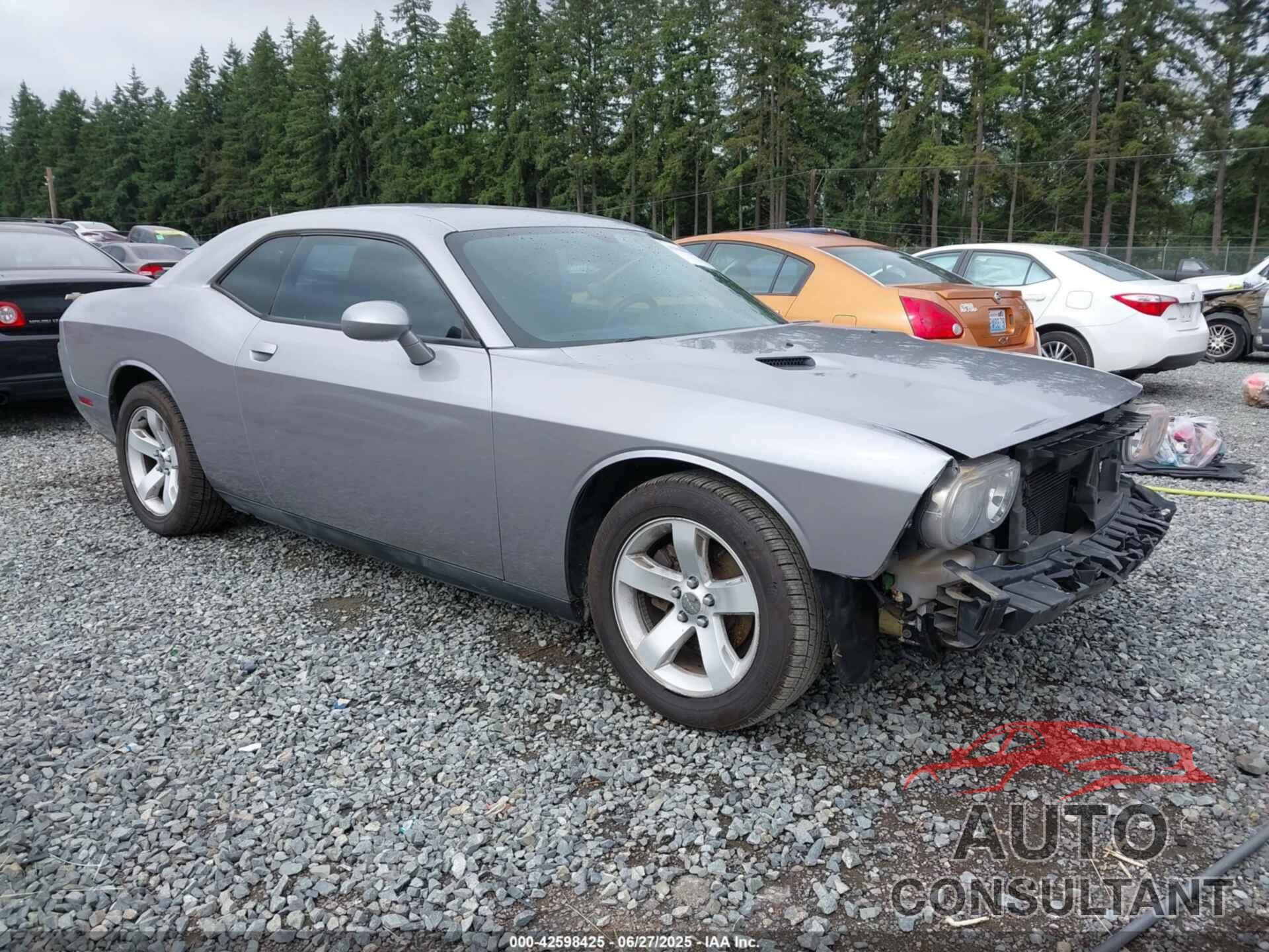 DODGE CHALLENGER 2013 - 2C3CDYAGXDH569438