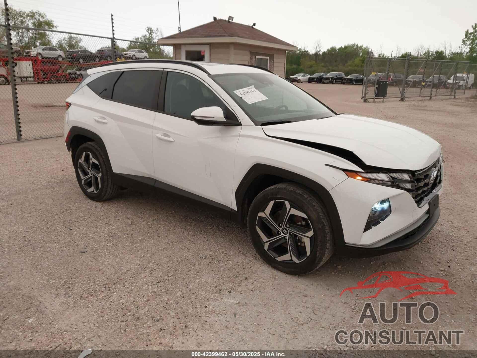 HYUNDAI TUCSON 2024 - 5NMJFCDE0RH344600
