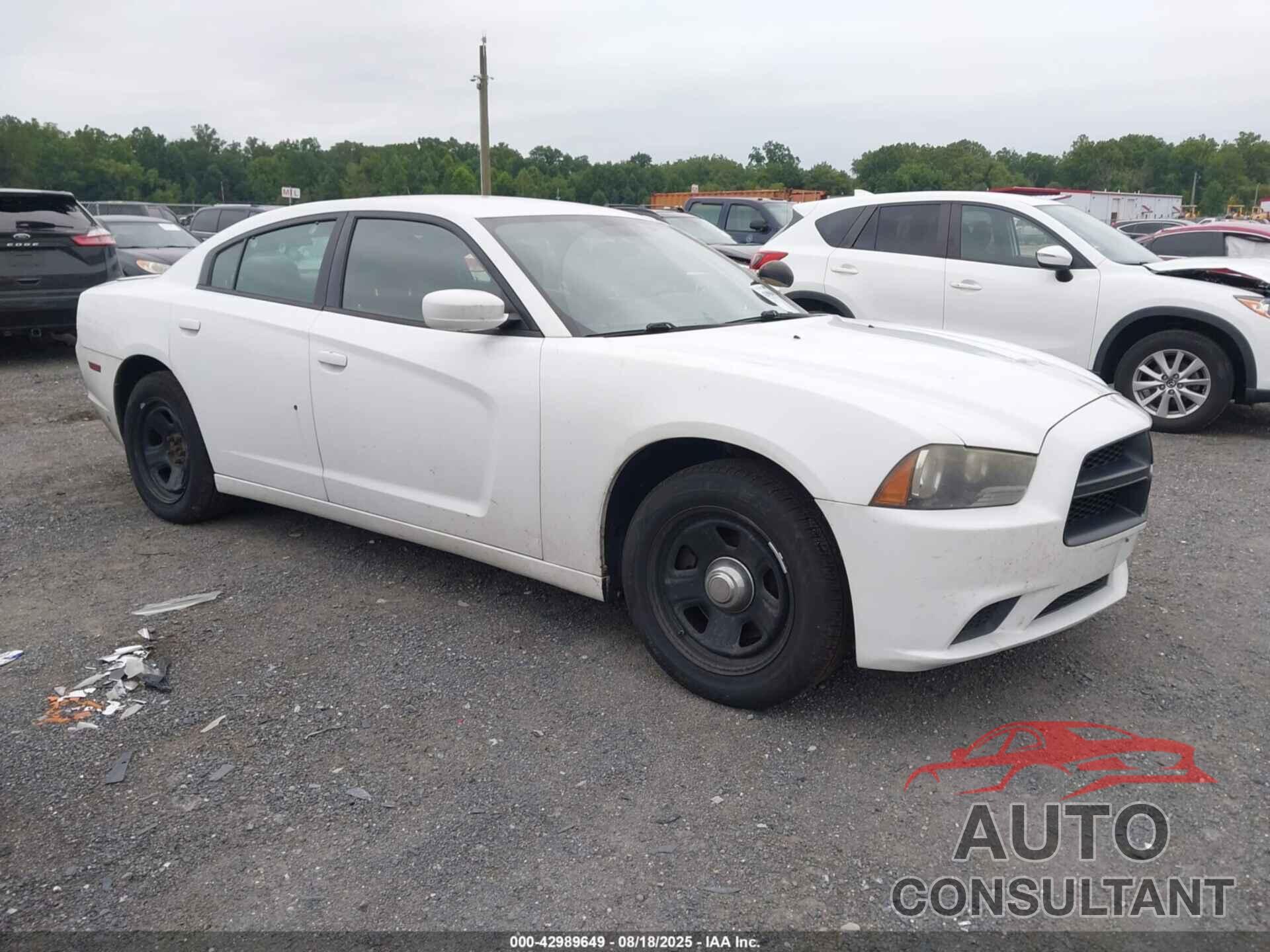 DODGE CHARGER 2014 - 2C3CDXAGXEH133037