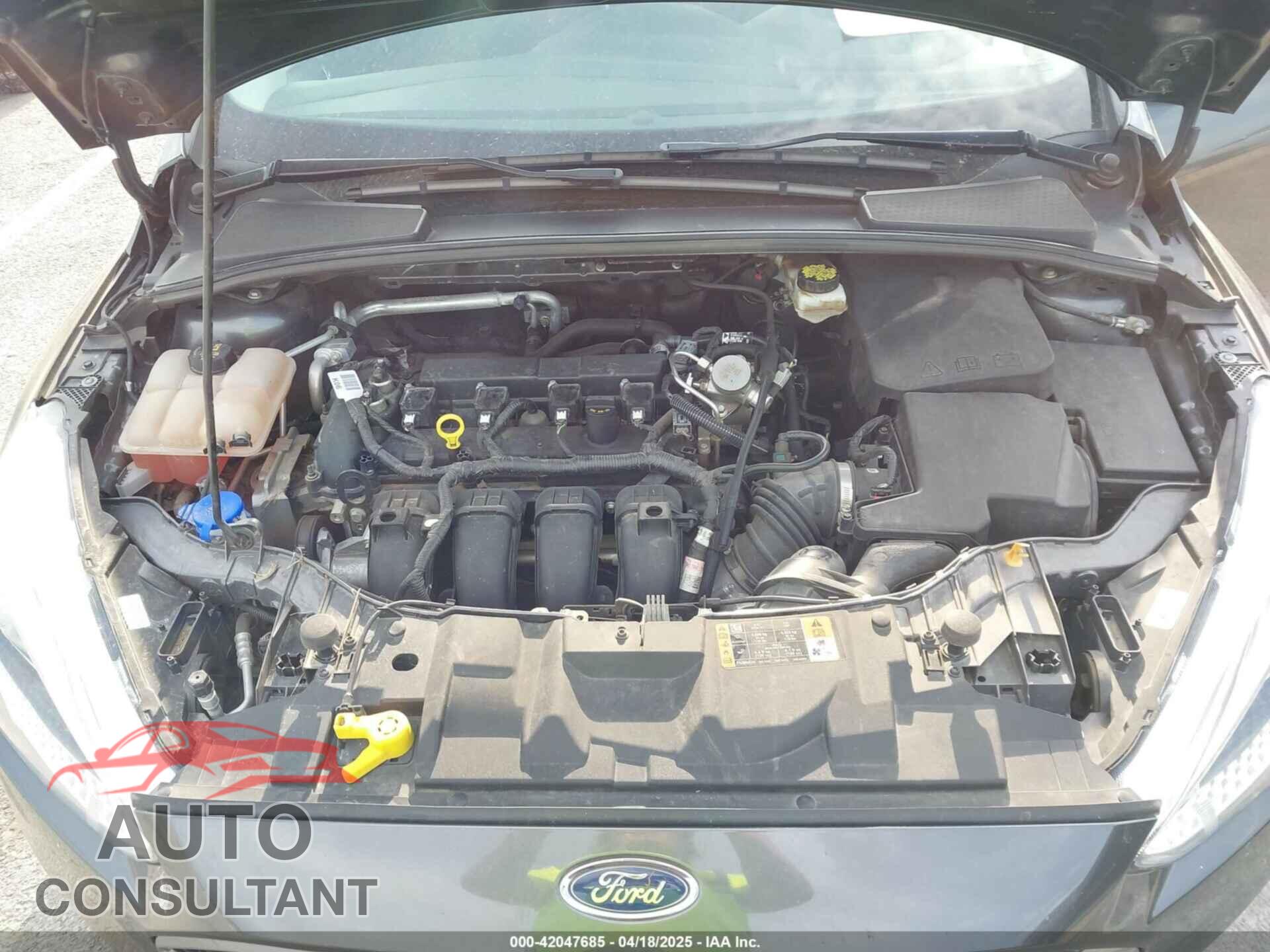 FORD FOCUS 2017 - 1FADP3F21HL228709