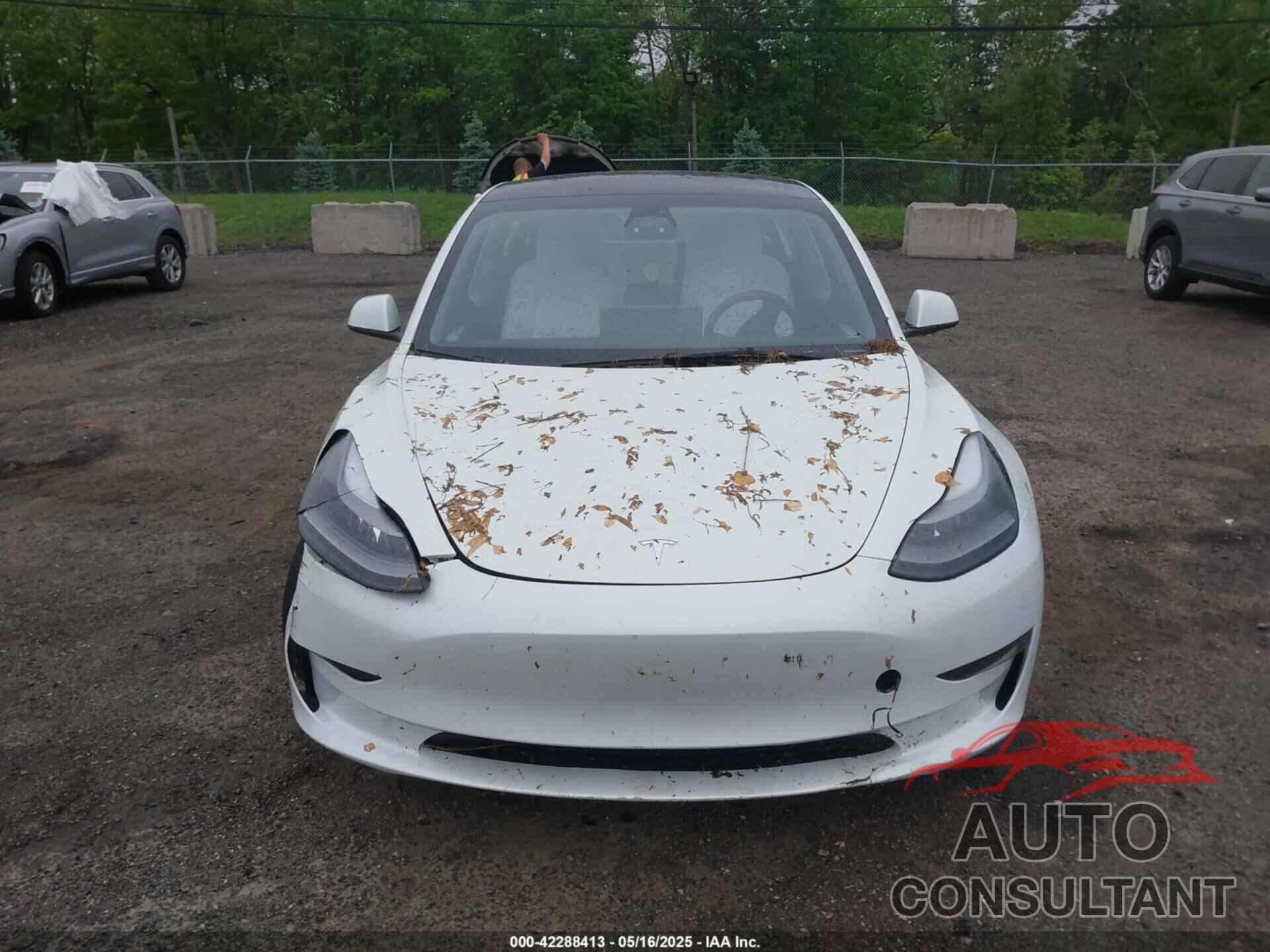 TESLA MODEL 3 2023 - 5YJ3E1EA2PF626392